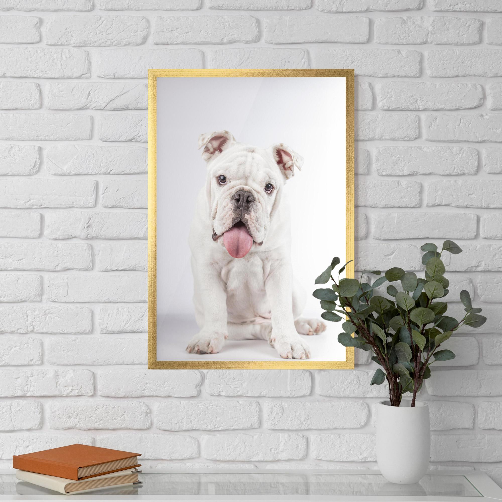 Plakat w Ramie English Bulldog mockup 5