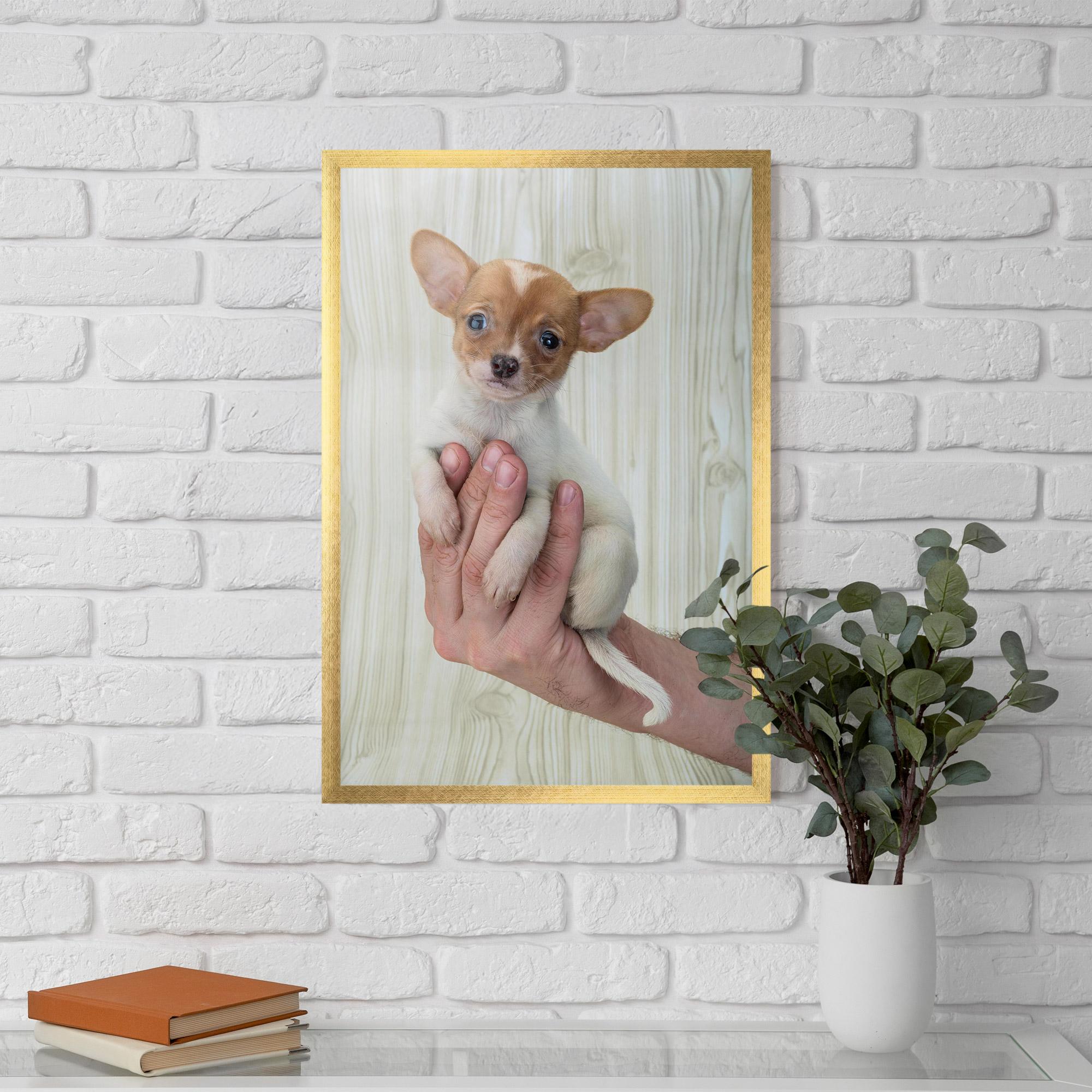Plakat w Ramie Holding Chihuahua mockup 5