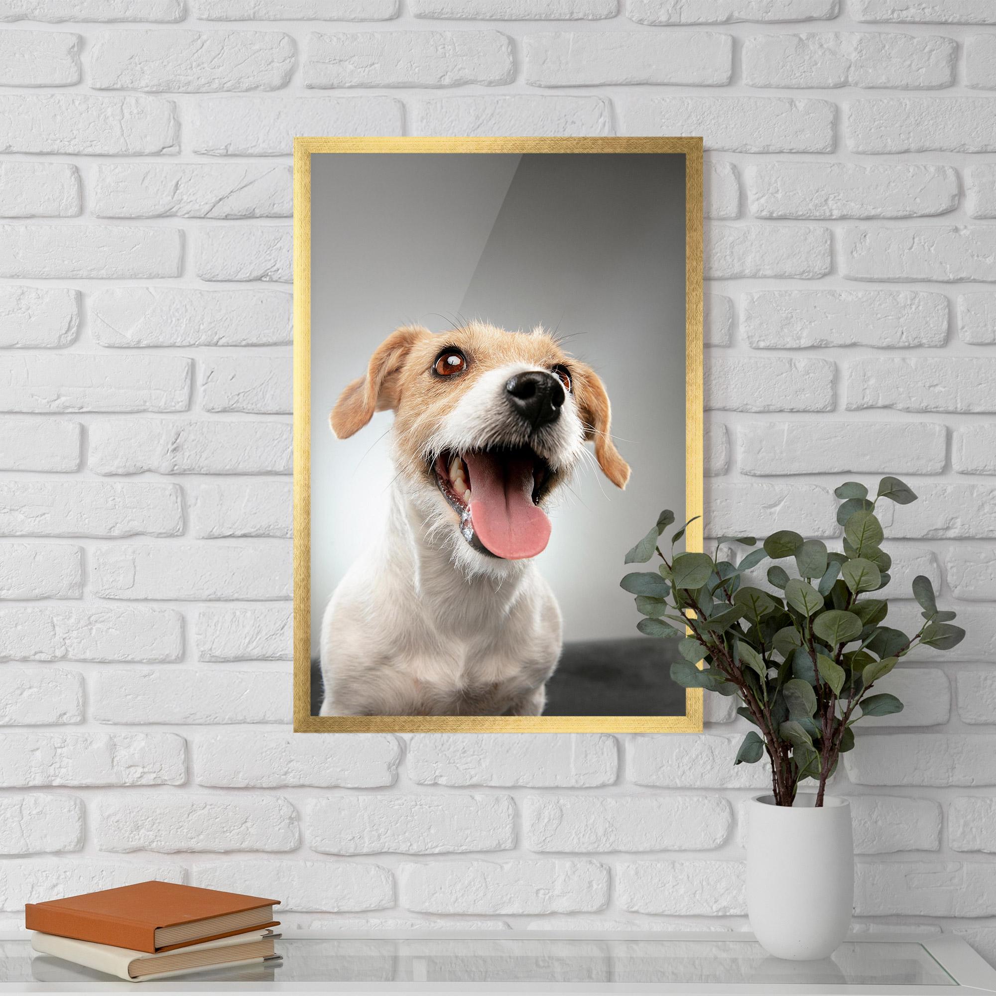 Plakat w Ramie Jack Russell Terrier mockup 5