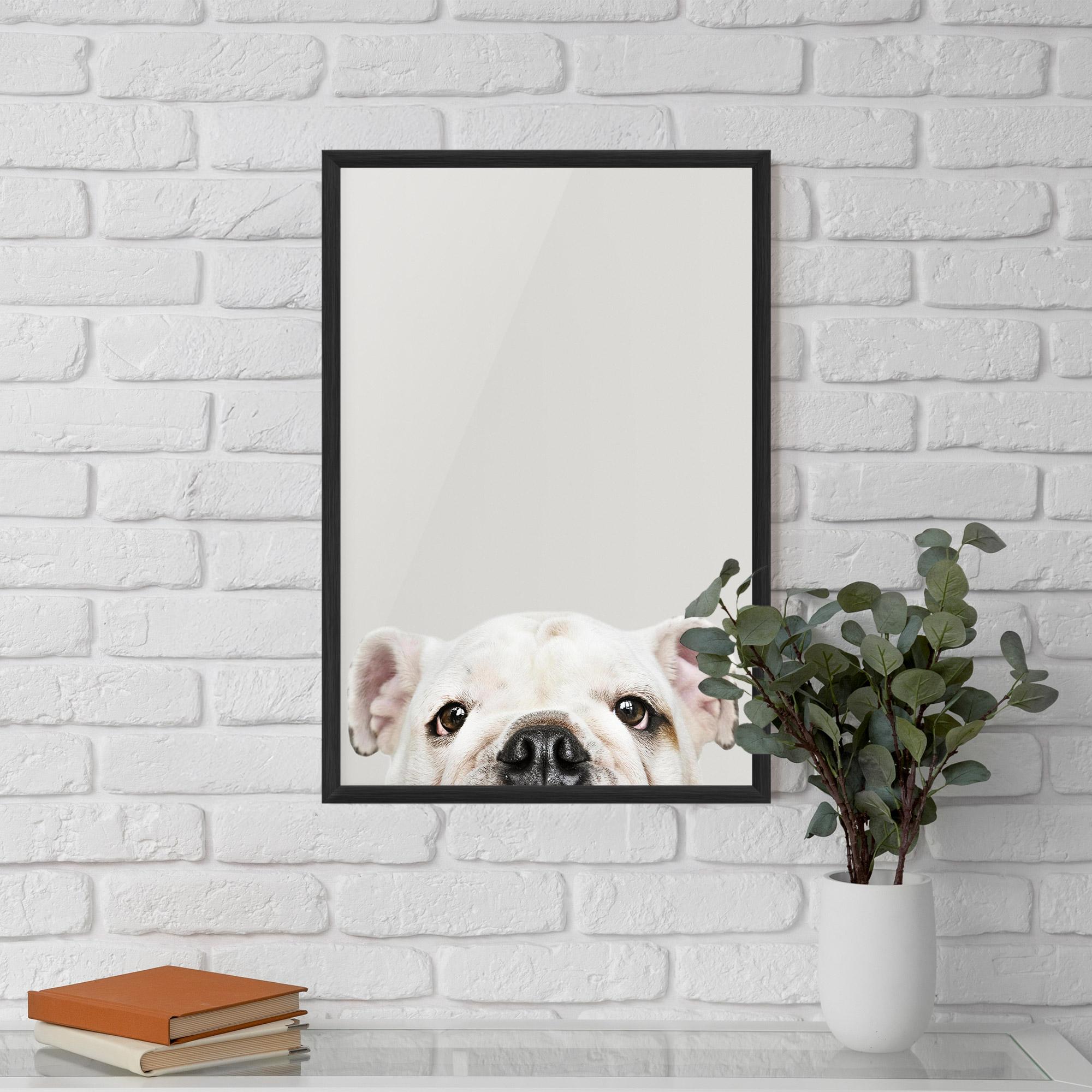 Plakat w Ramie Bulldog Eyes mockup 5