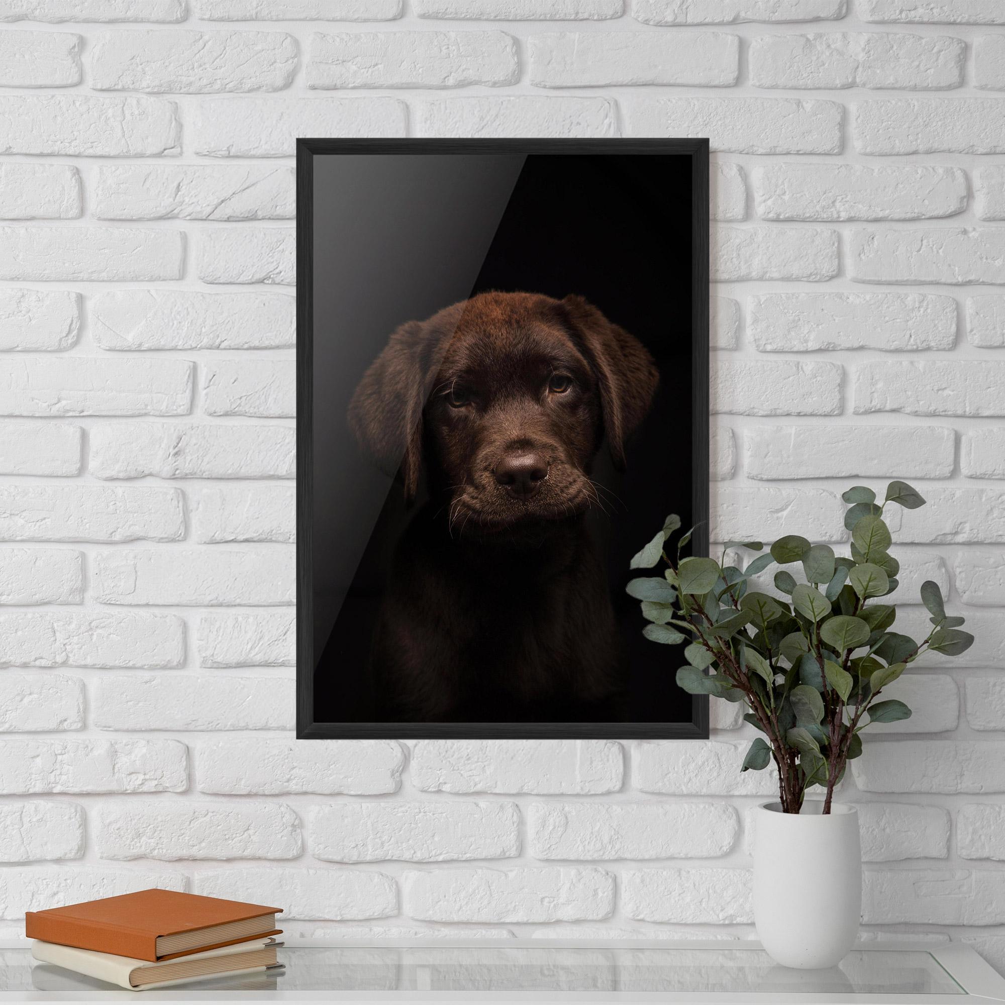 Plakat w Ramie Chocolate Labrador mockup 5