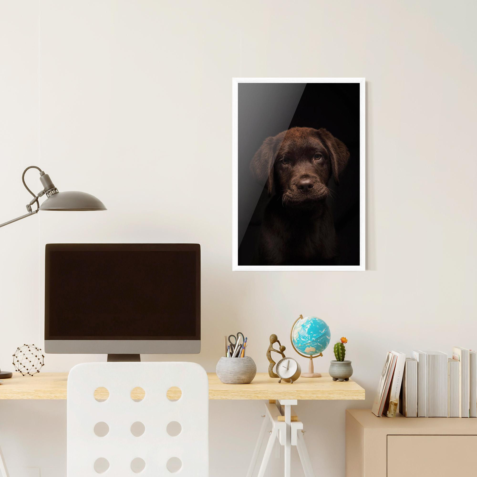 Plakat w Ramie Chocolate Labrador mockup 6