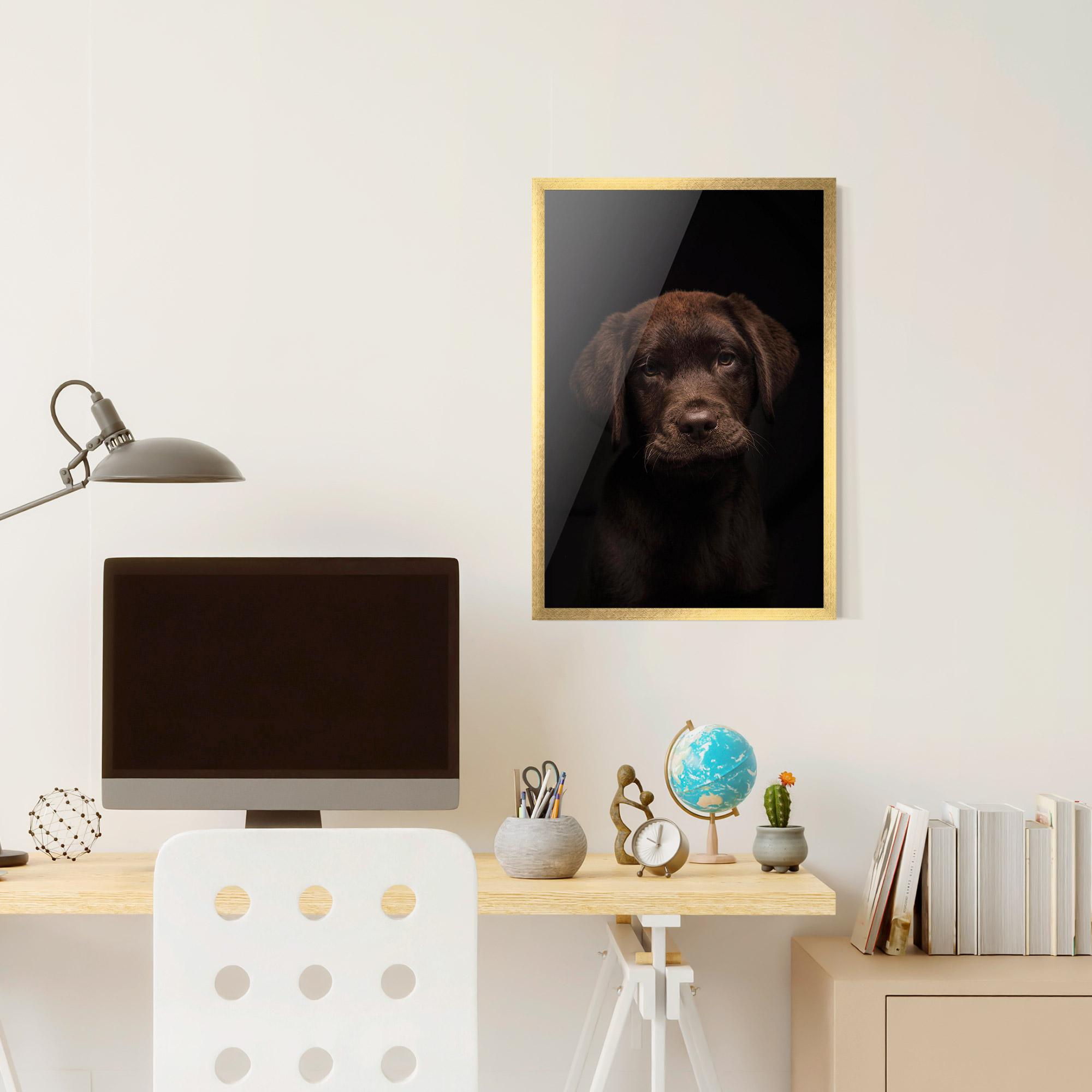 Plakat w Ramie Chocolate Labrador mockup 6
