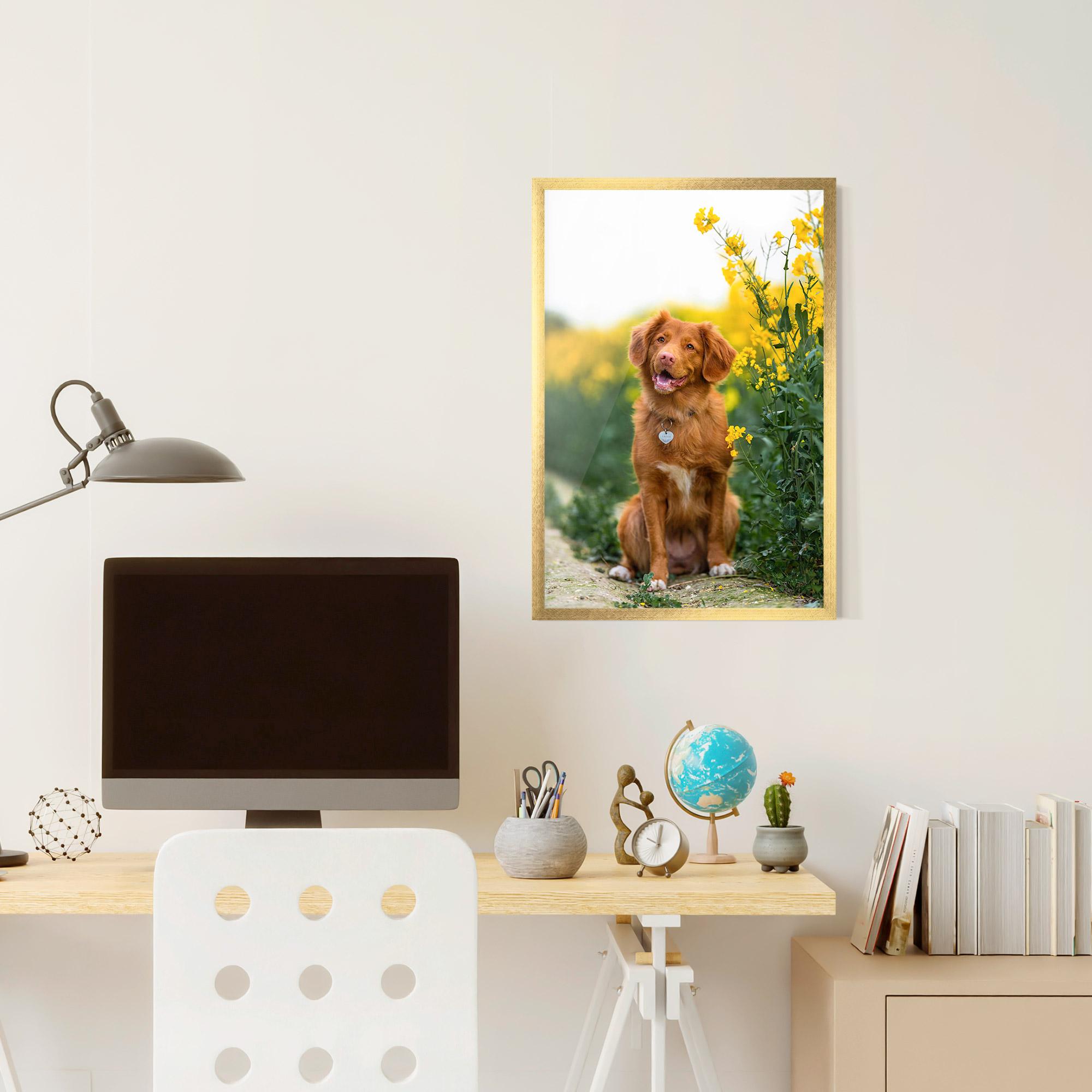 Plakat w Ramie Dog Yellow Flowers mockup 6