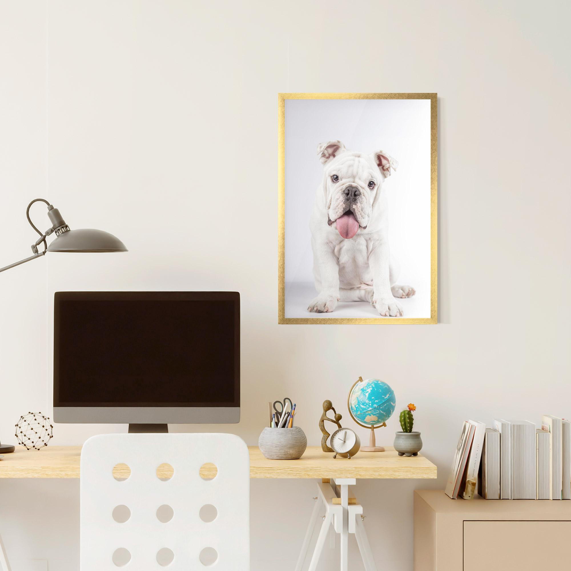 Plakat w Ramie English Bulldog mockup 6