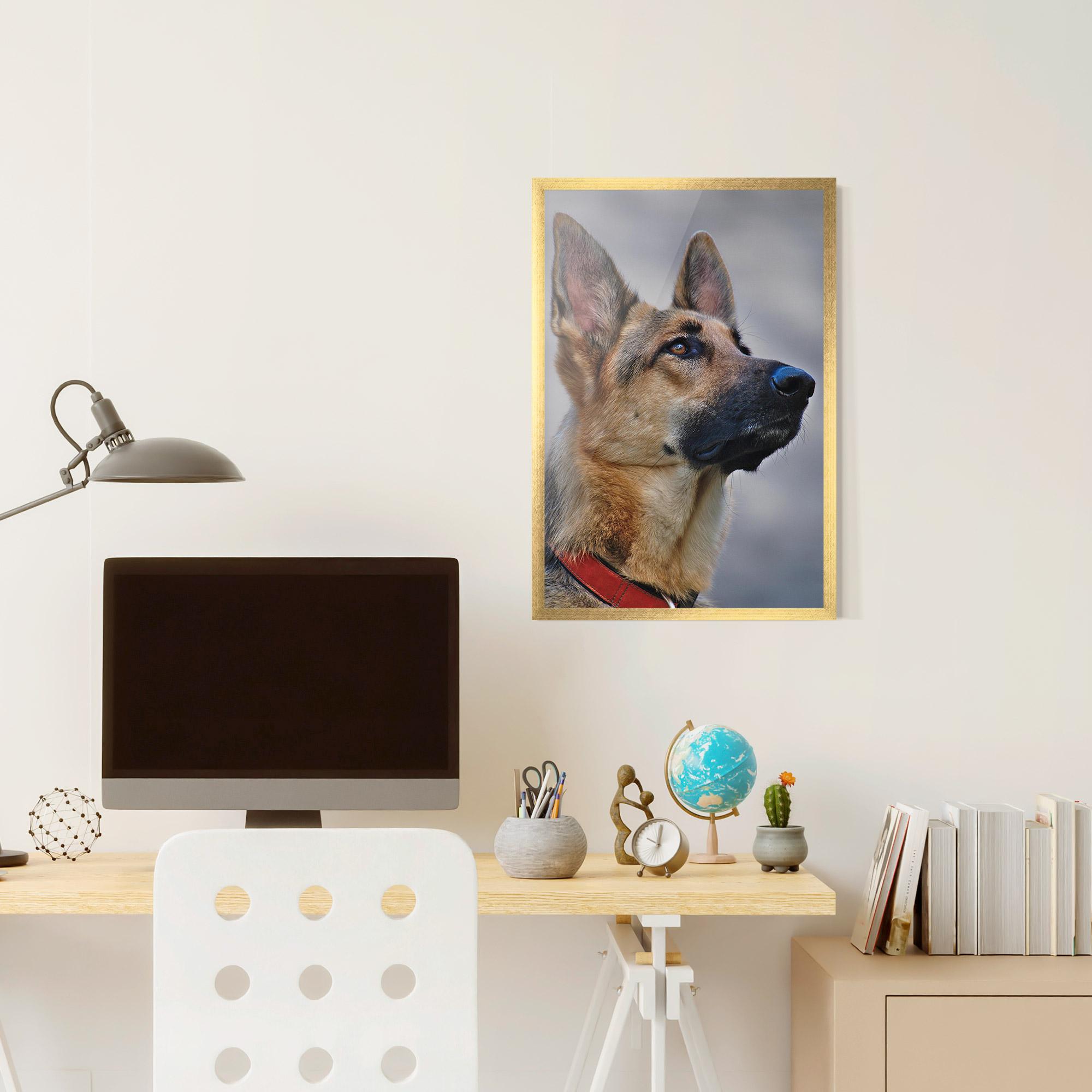 Plakat w Ramie German Shepherd mockup 6