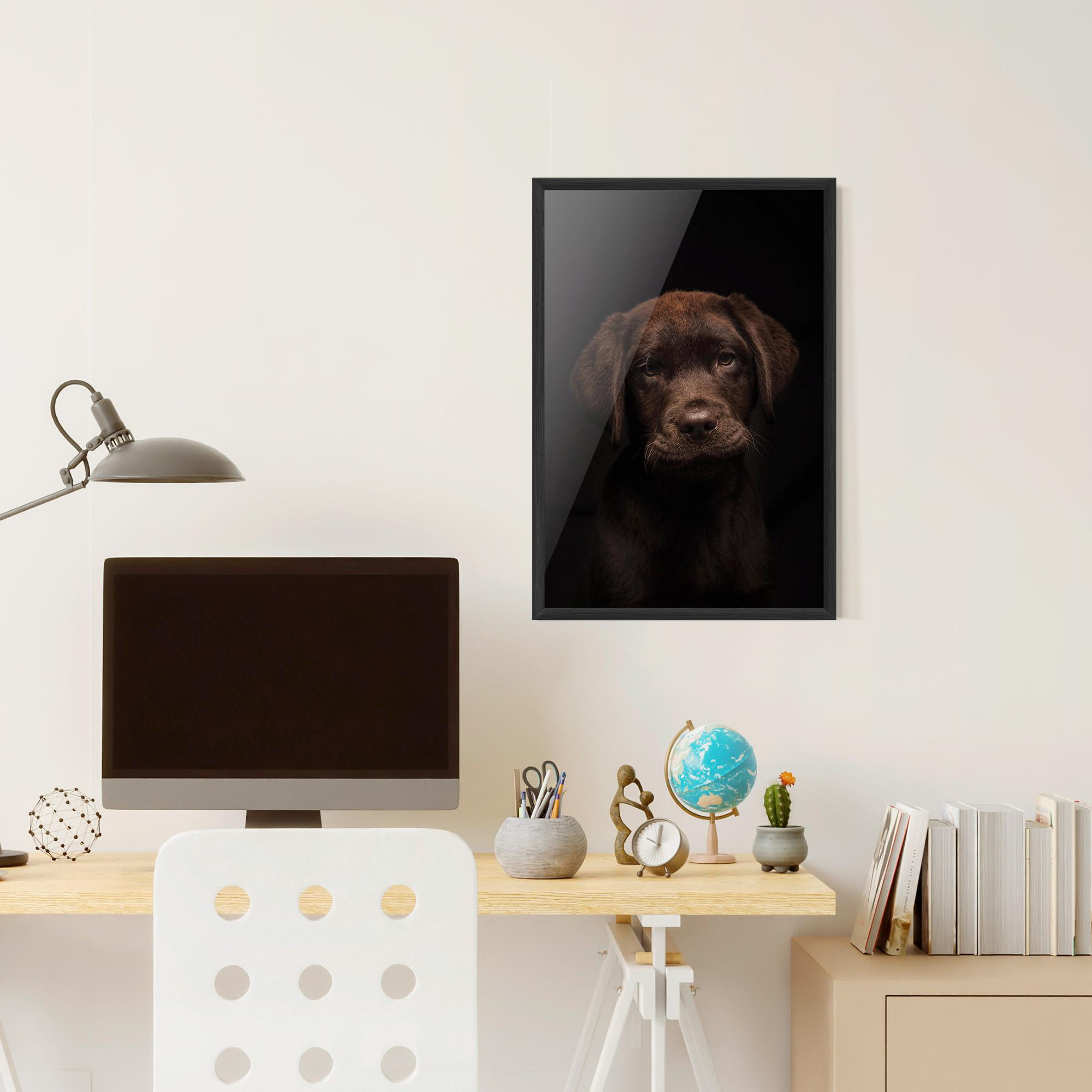 Plakat w Ramie Chocolate Labrador mockup 6