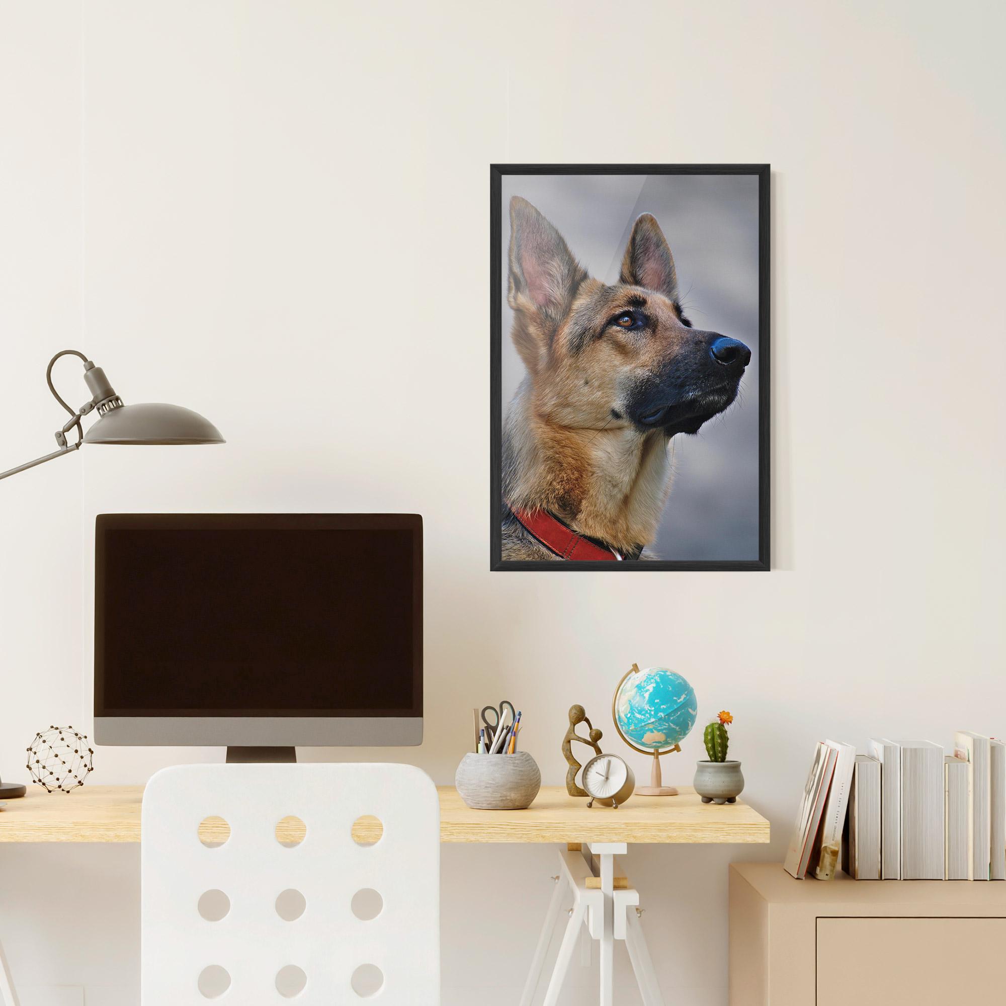 Plakat w Ramie German Shepherd mockup 6