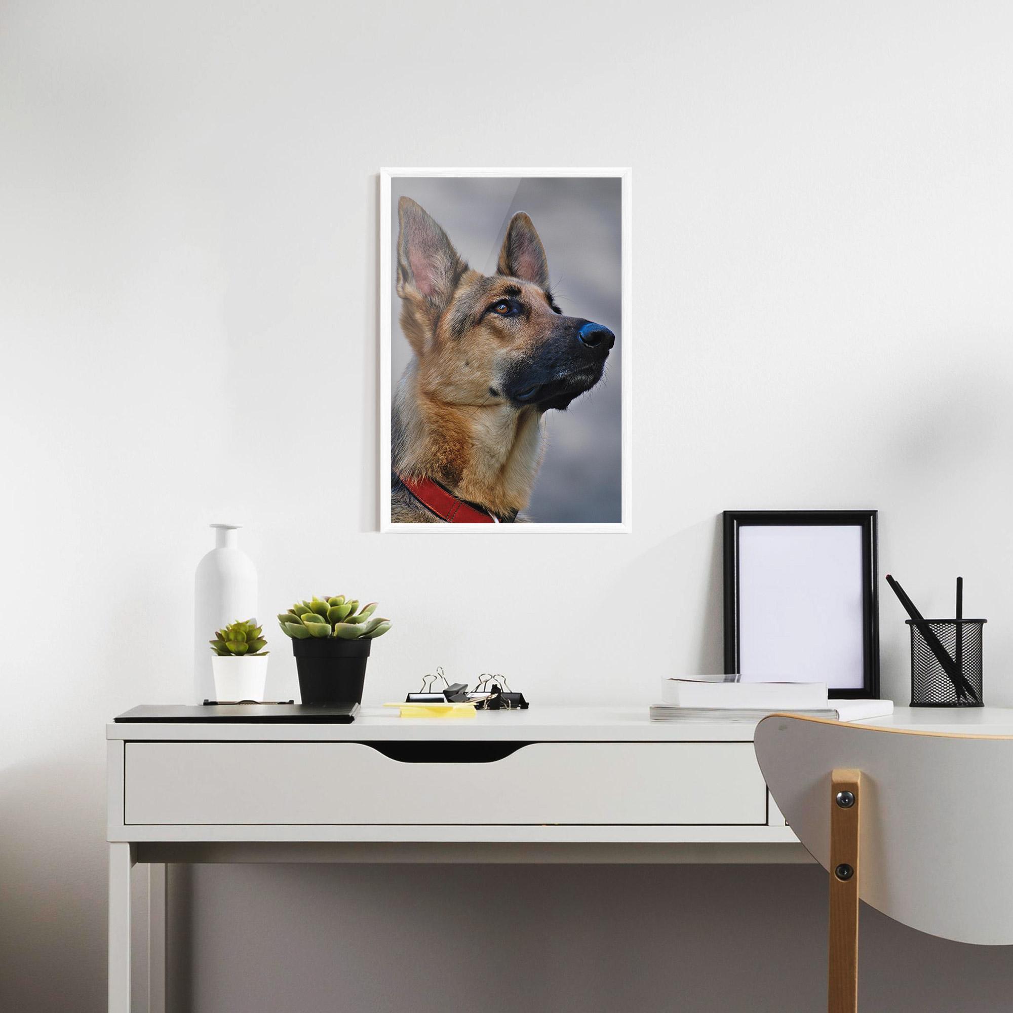 Plakat w Ramie German Shepherd mockup 7