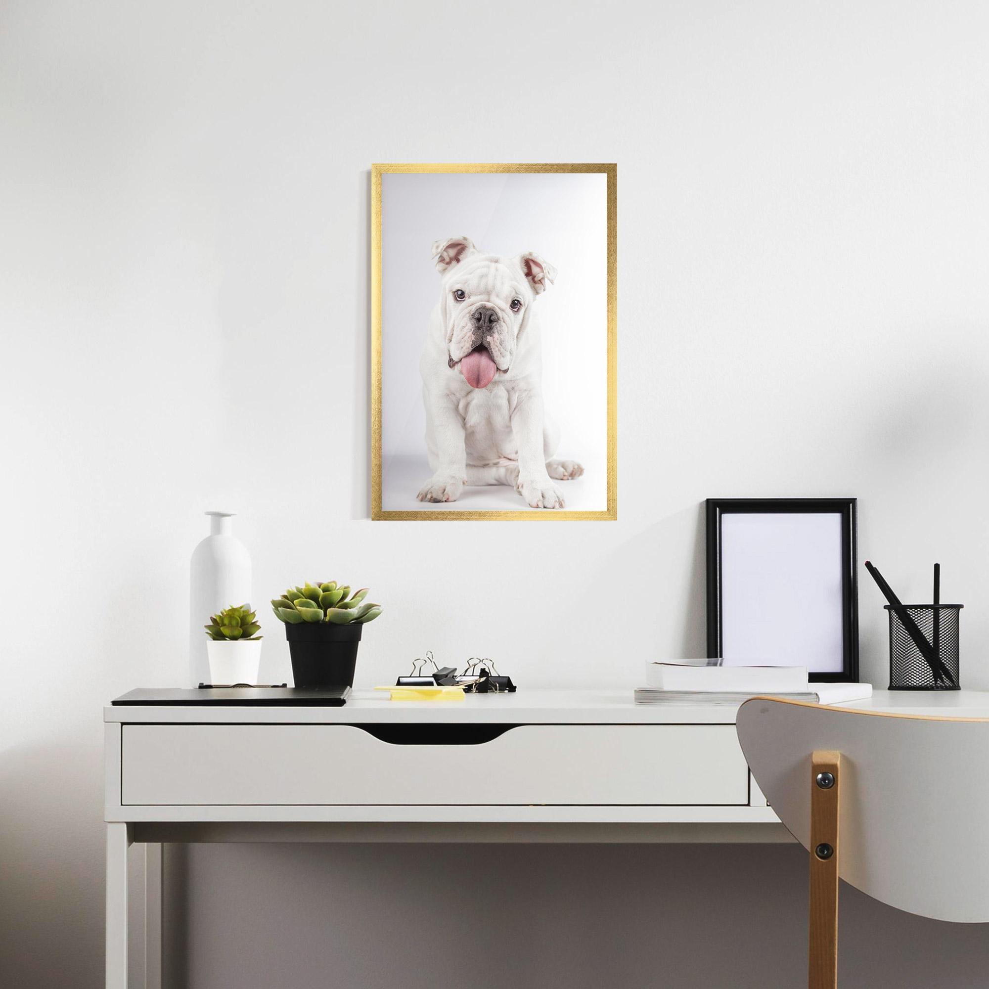 Plakat w Ramie English Bulldog mockup 7