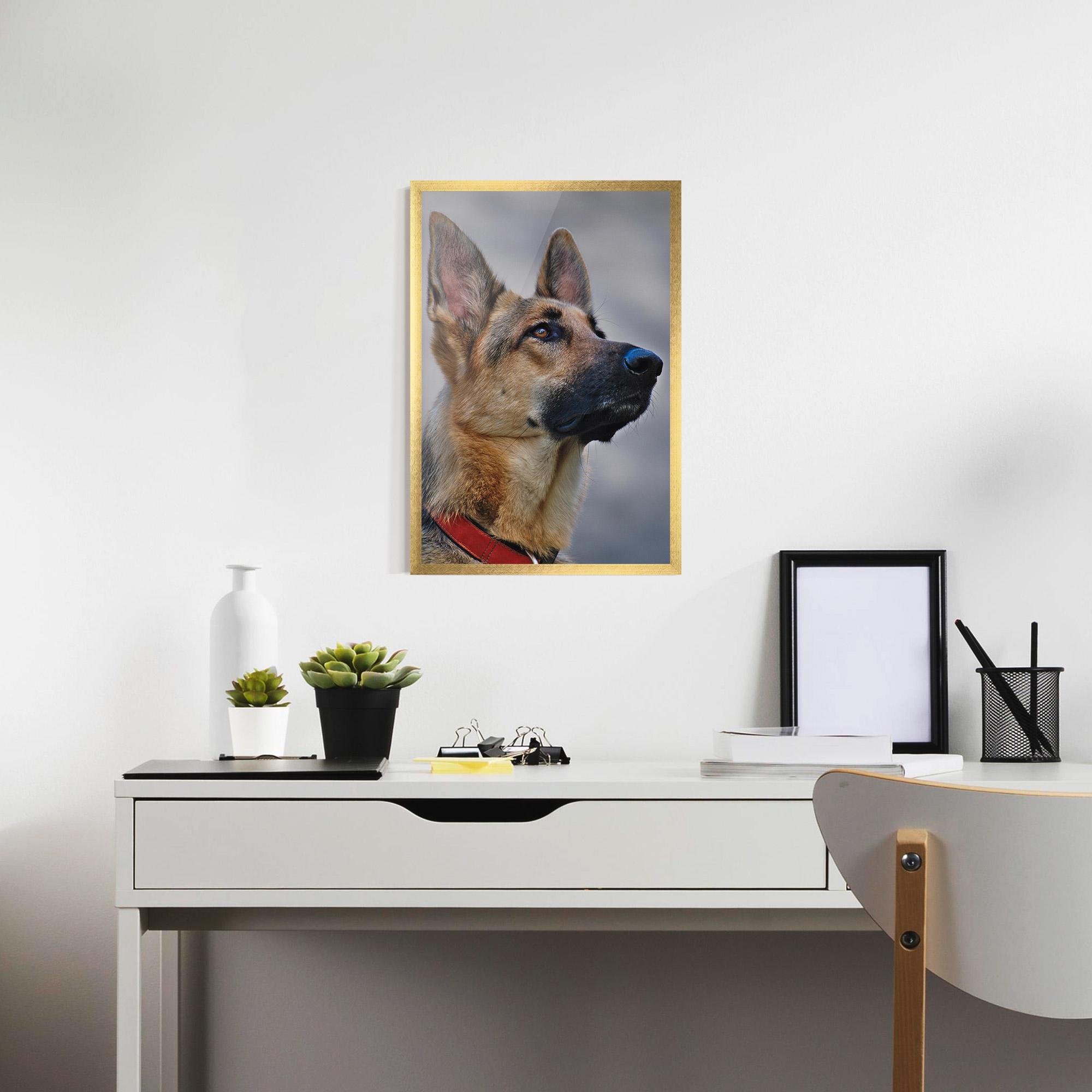 Plakat w Ramie German Shepherd mockup 7