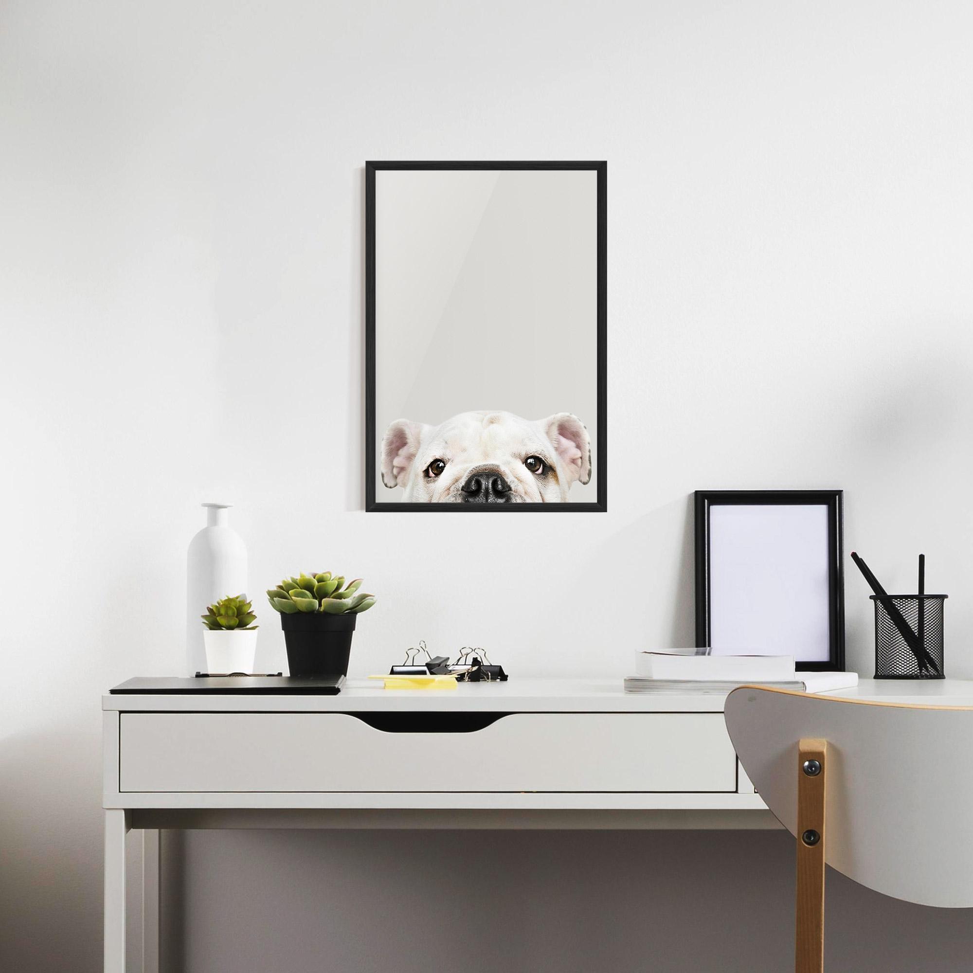 Plakat w Ramie Bulldog Eyes mockup 7