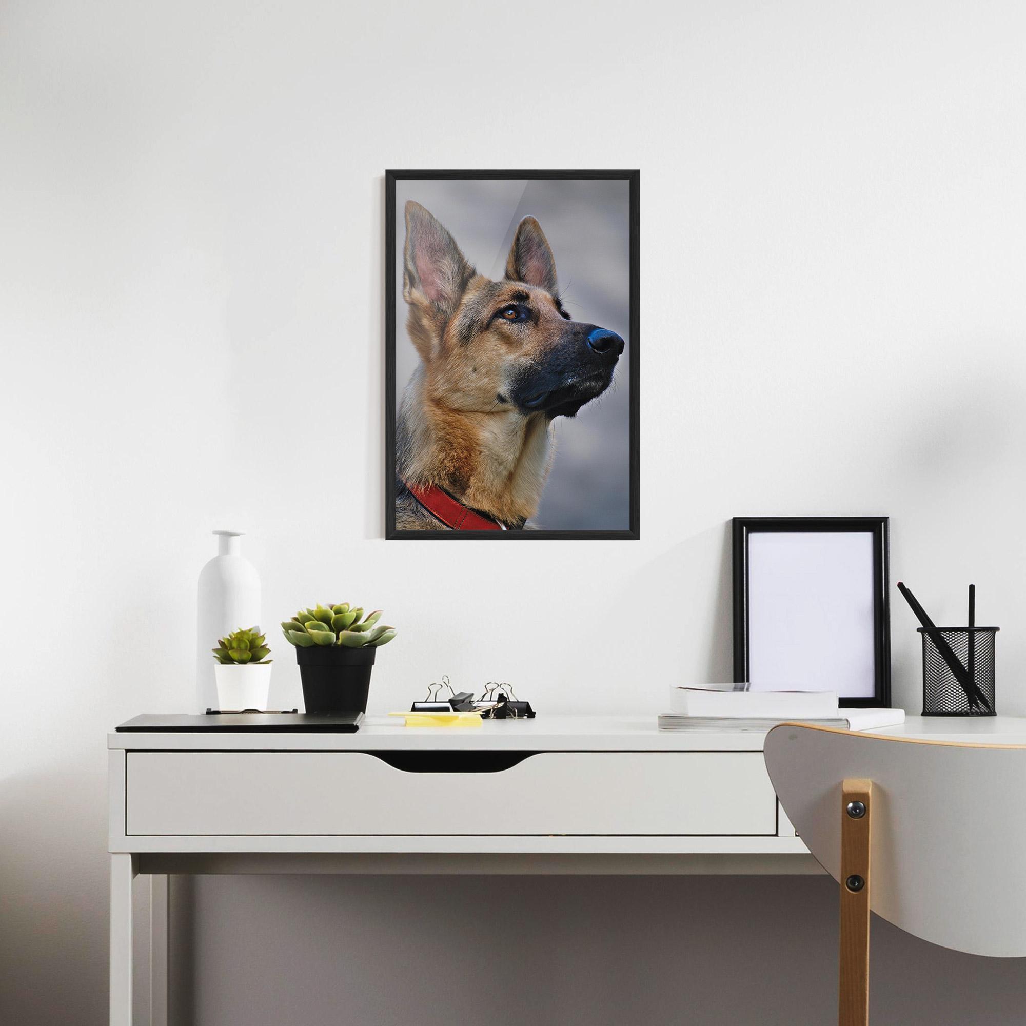 Plakat w Ramie German Shepherd mockup 7