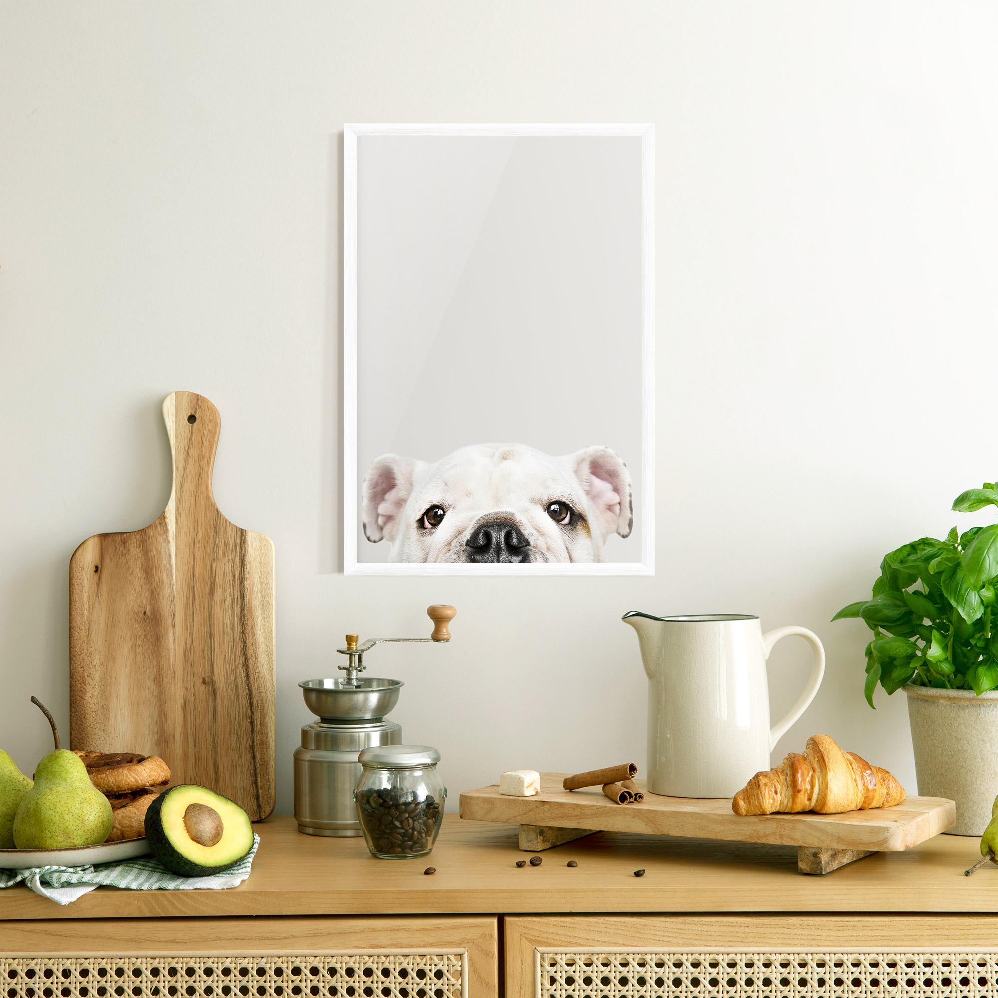 Plakat w Ramie Bulldog Eyes mockup 8