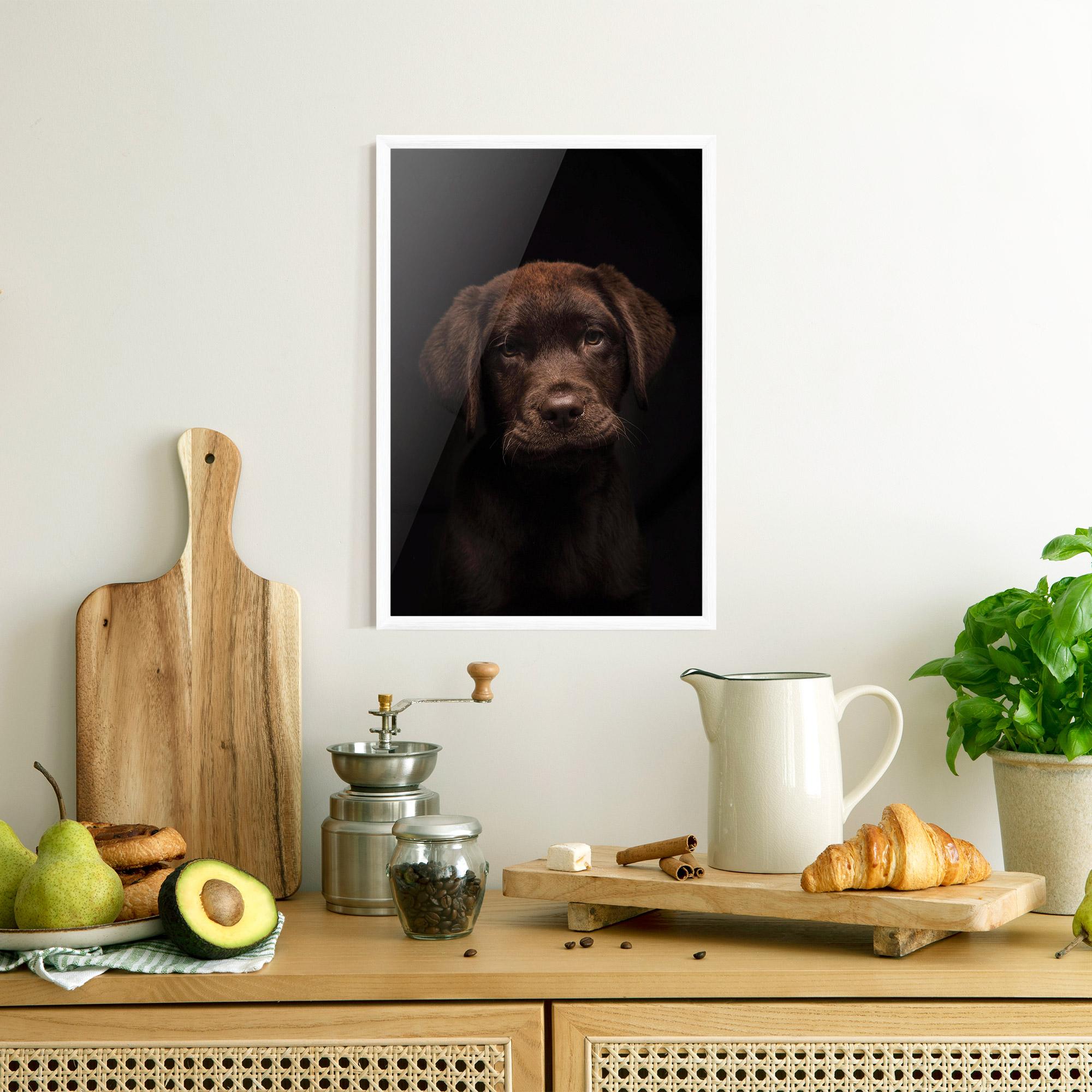 Plakat w Ramie Chocolate Labrador mockup 8