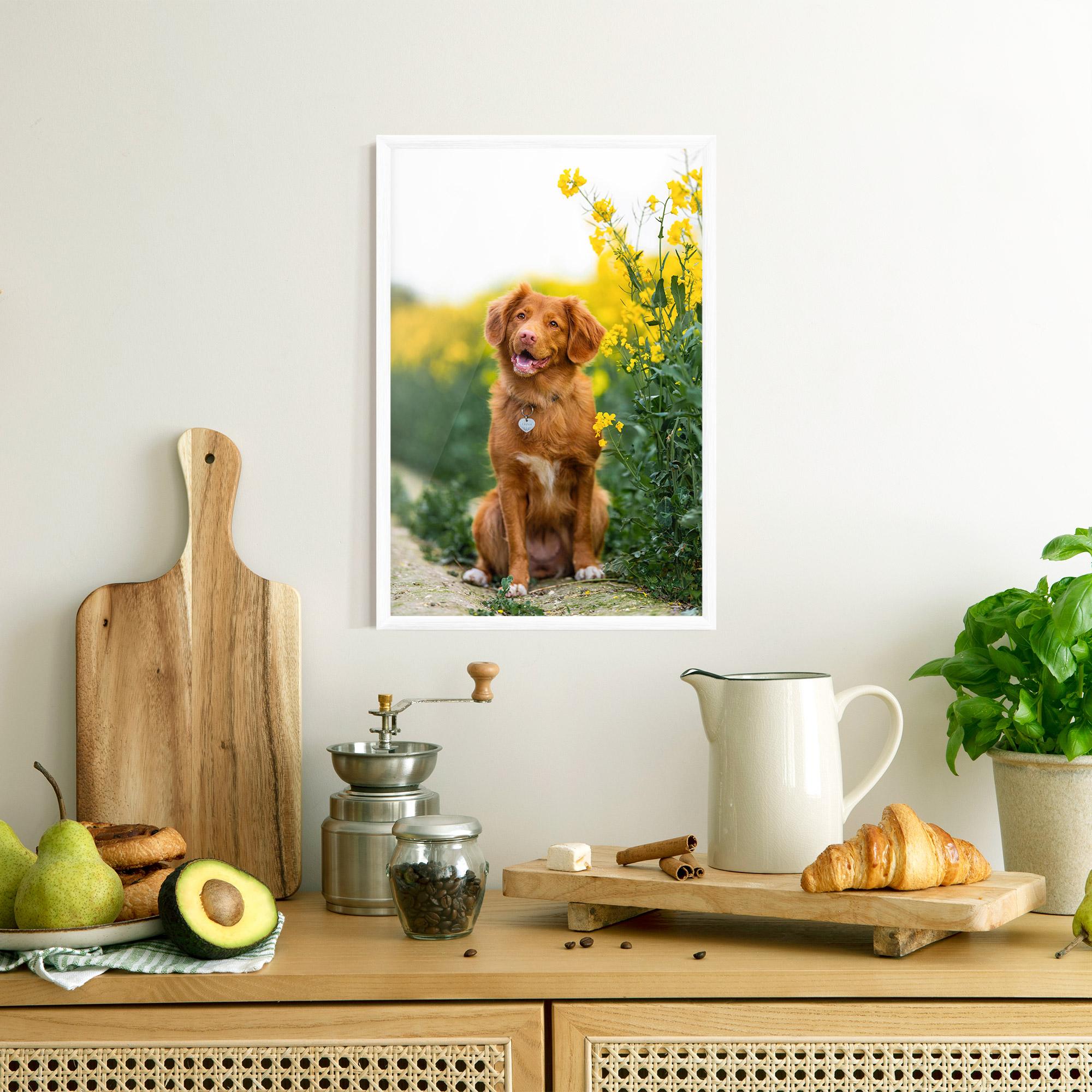 Plakat w Ramie Dog Yellow Flowers mockup 8