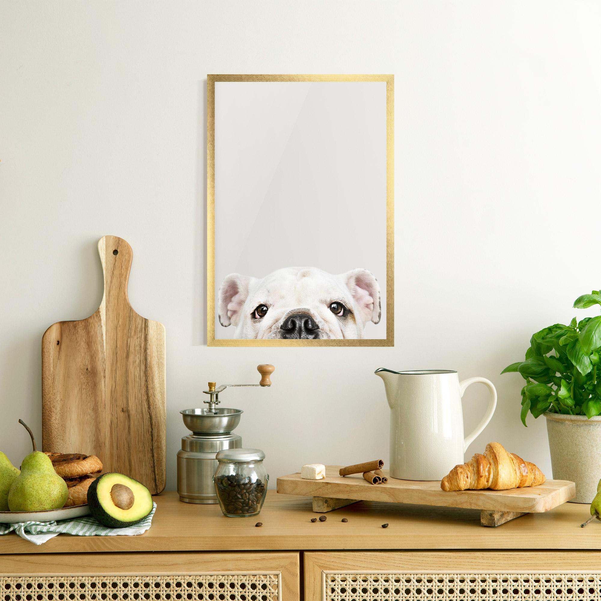 Plakat w Ramie Bulldog Eyes mockup 8