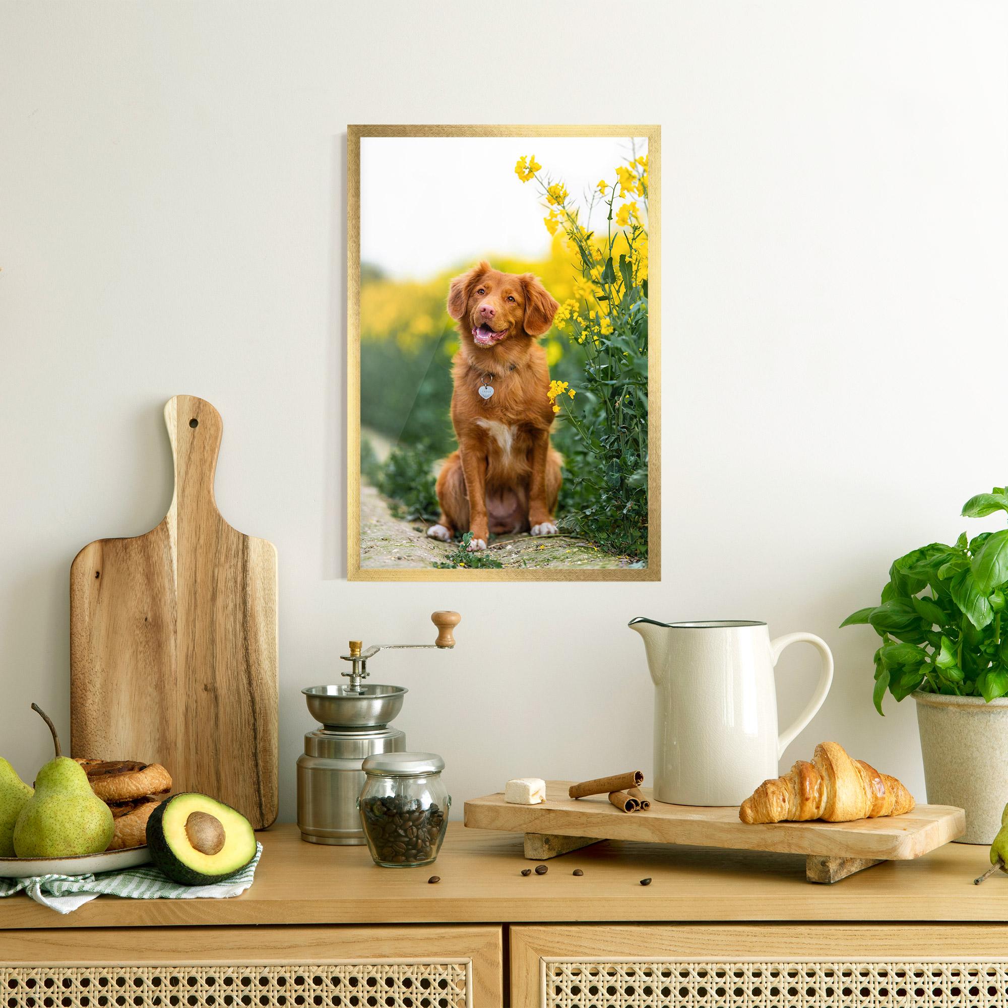 Plakat w Ramie Dog Yellow Flowers mockup 8