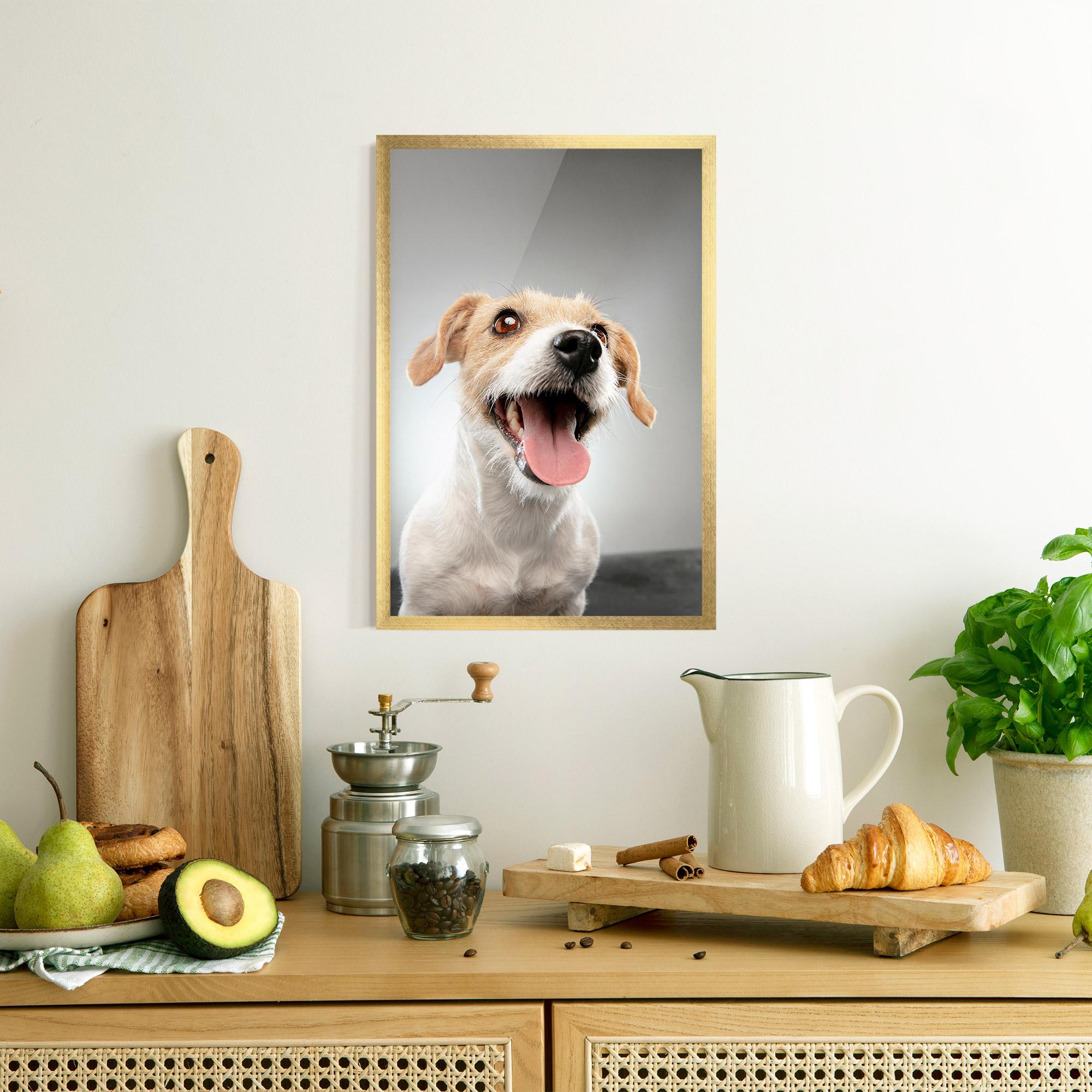 Plakat w Ramie Jack Russell Terrier mockup 8