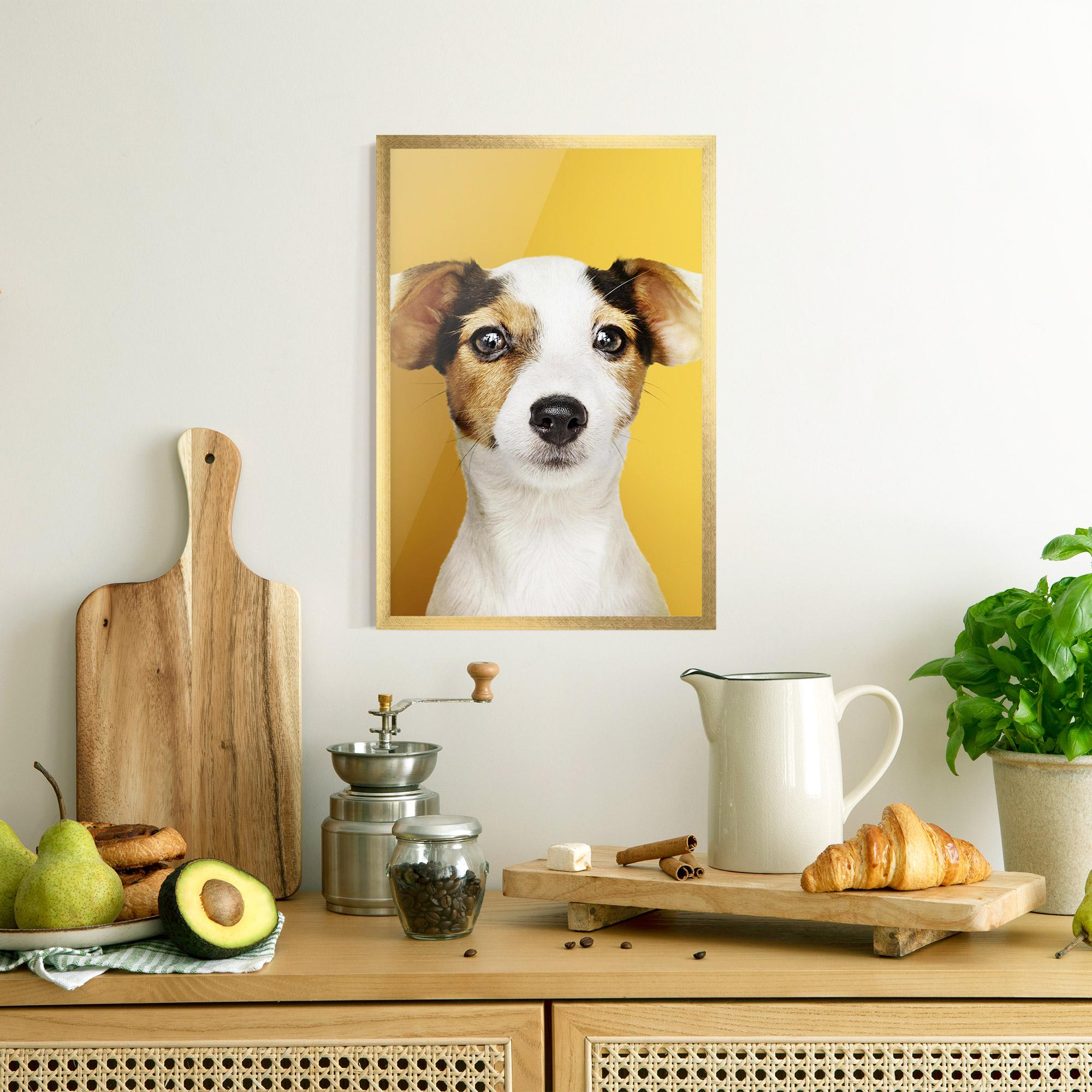 Plakat w Ramie Puppy On Yellow mockup 8