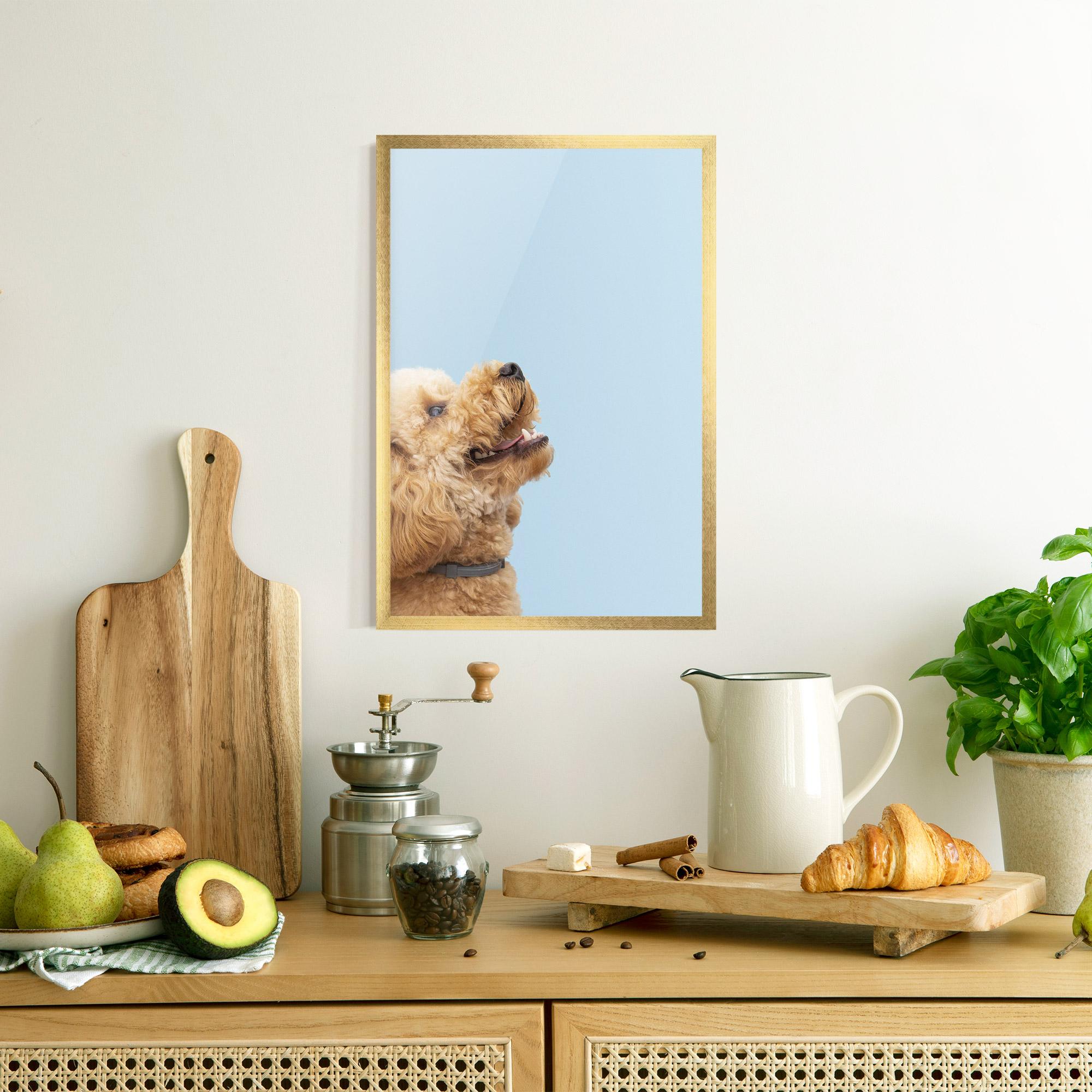 Plakat w Ramie Yellow Cute Dog mockup 8