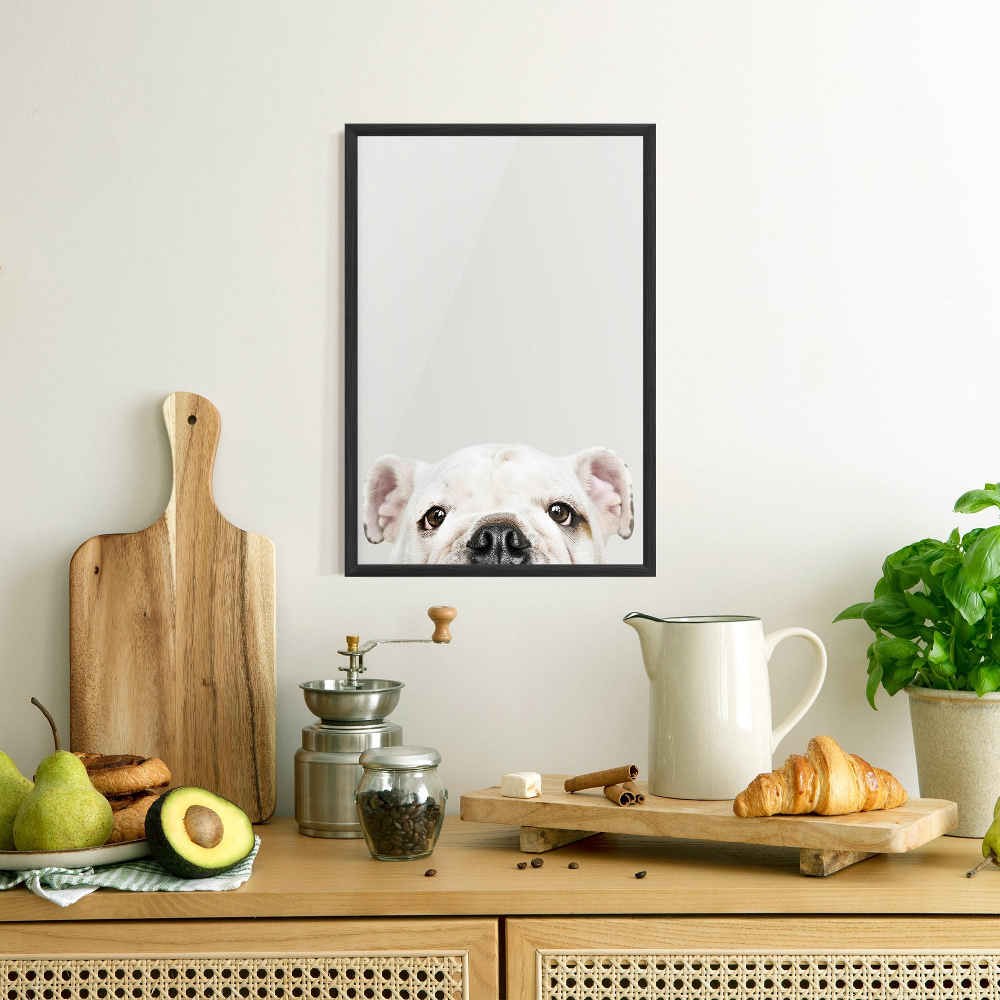 Plakat w Ramie Bulldog Eyes mockup 8
