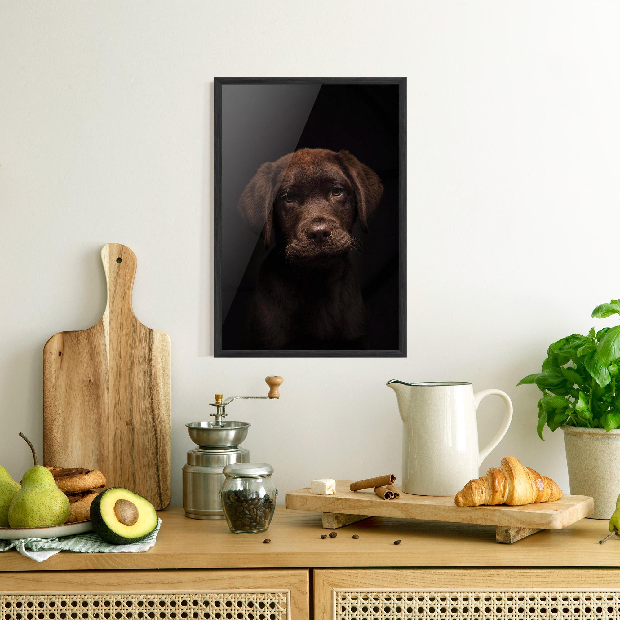 Plakat w Ramie Chocolate Labrador mockup 8