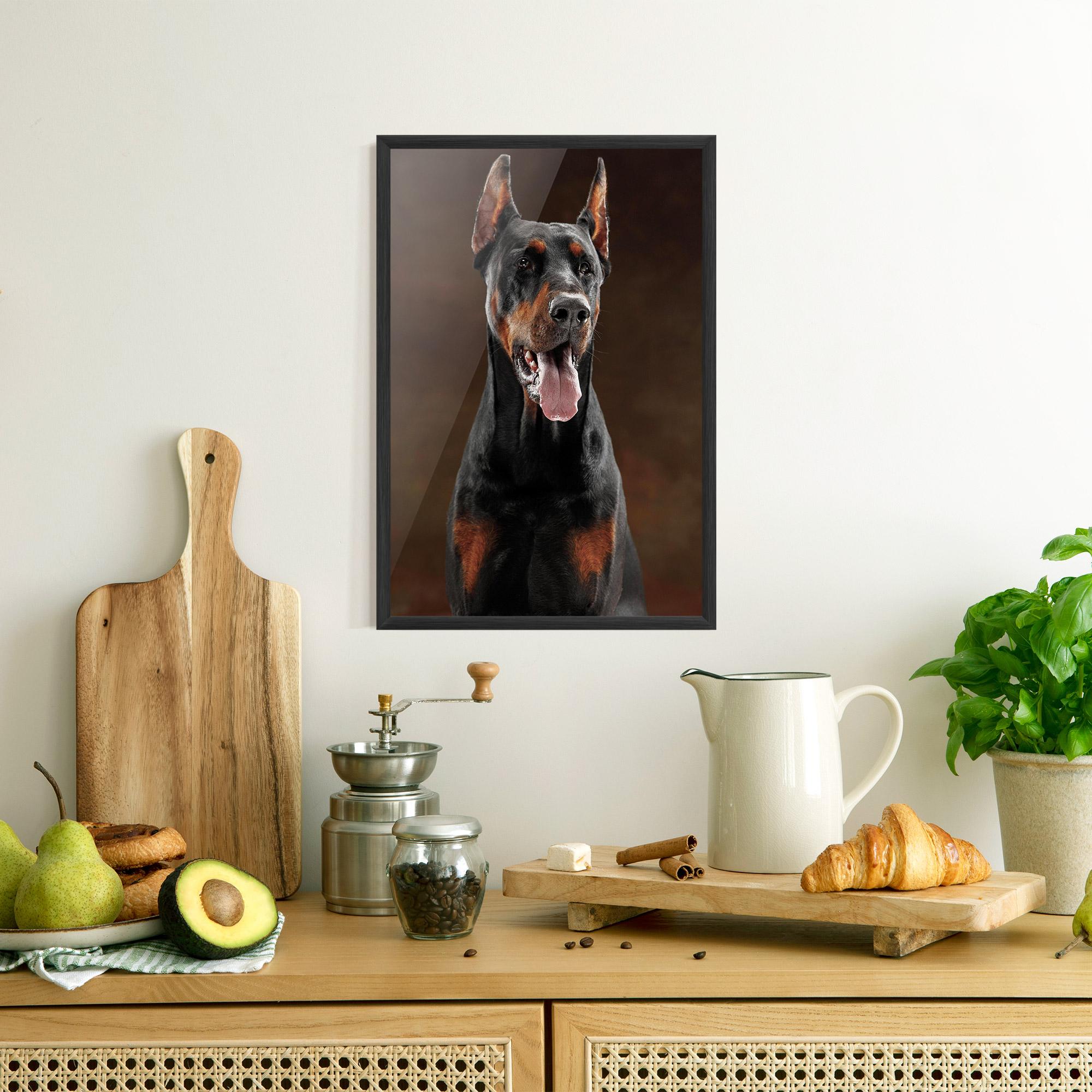 Plakat w Ramie Doberman Looking mockup 8