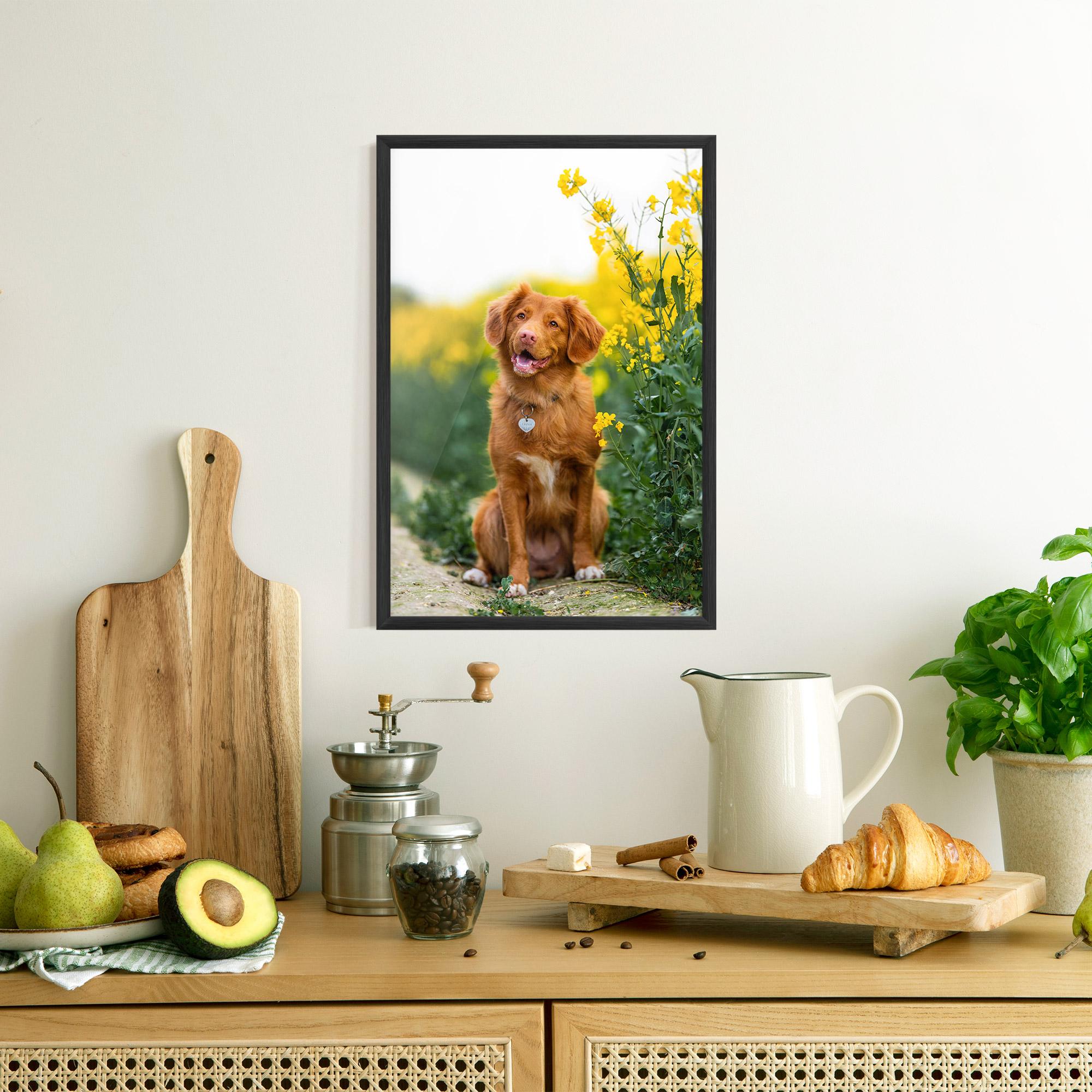 Plakat w Ramie Dog Yellow Flowers mockup 8