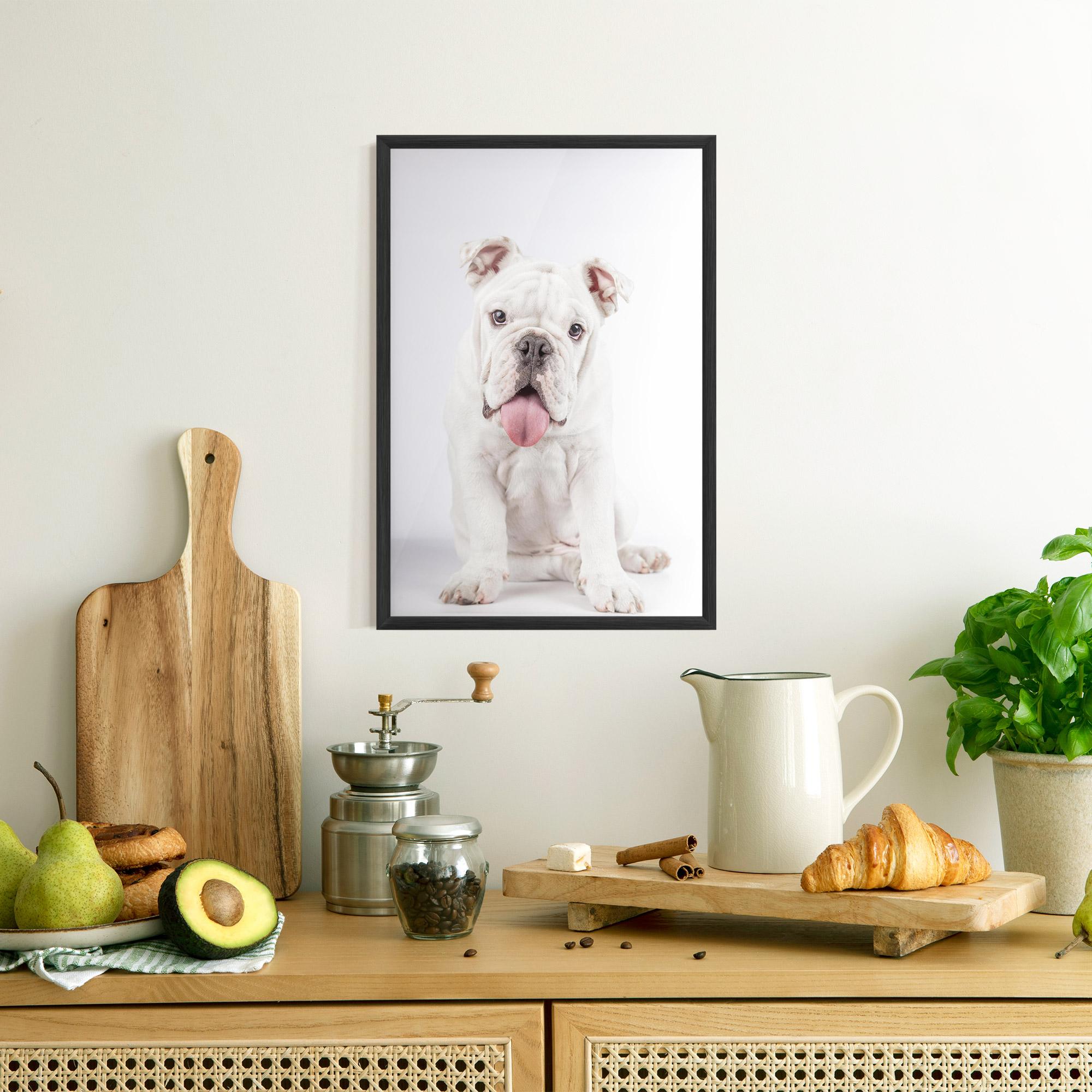Plakat w Ramie English Bulldog mockup 8