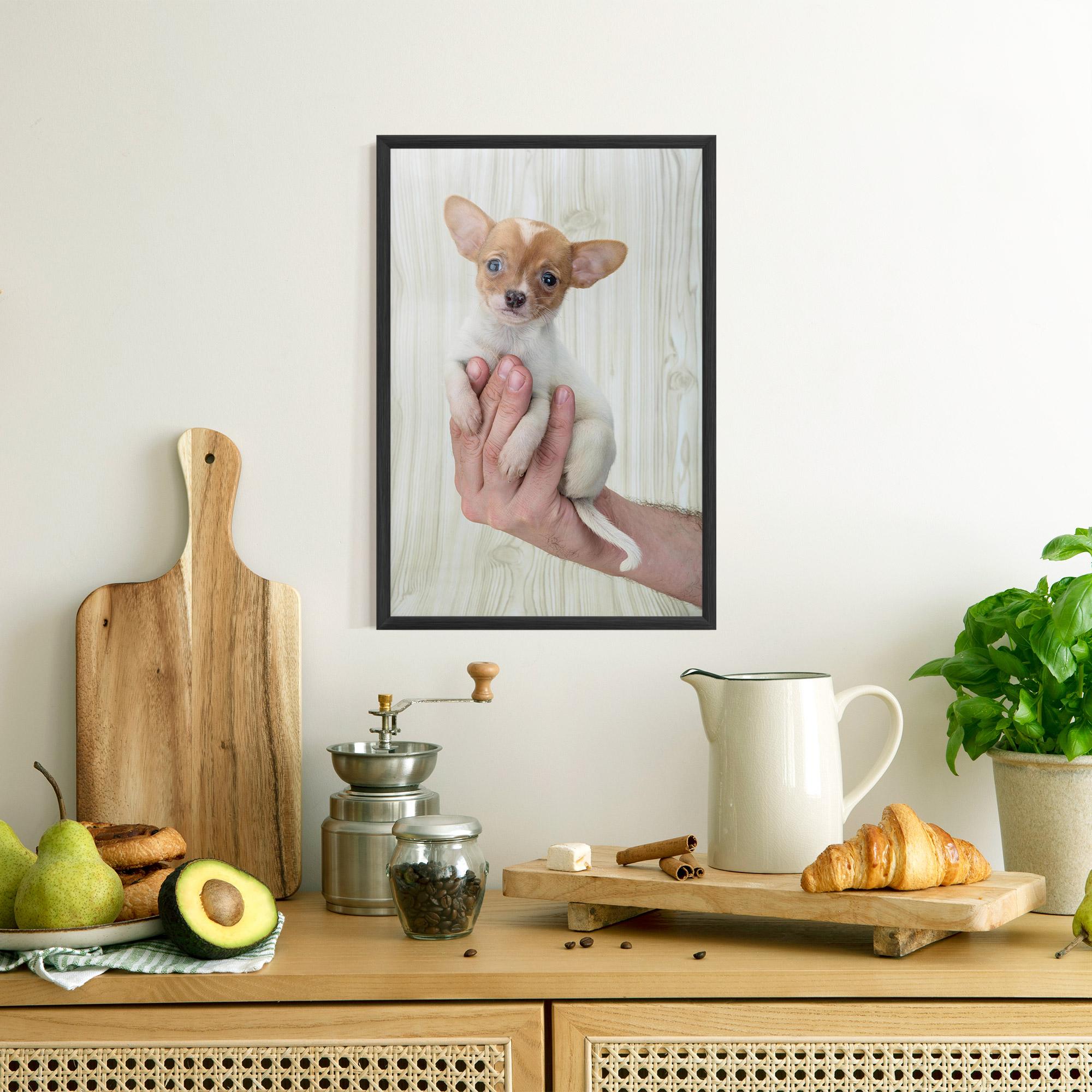 Plakat w Ramie Holding Chihuahua mockup 8