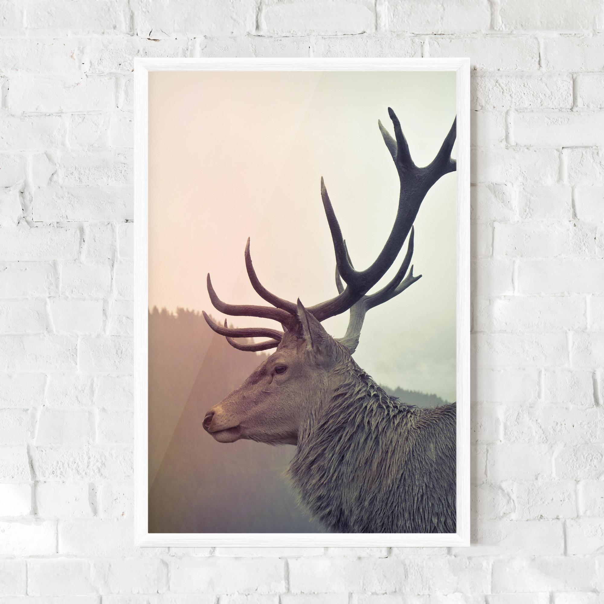 Plakat w Ramie King Of The Forest mockup 0