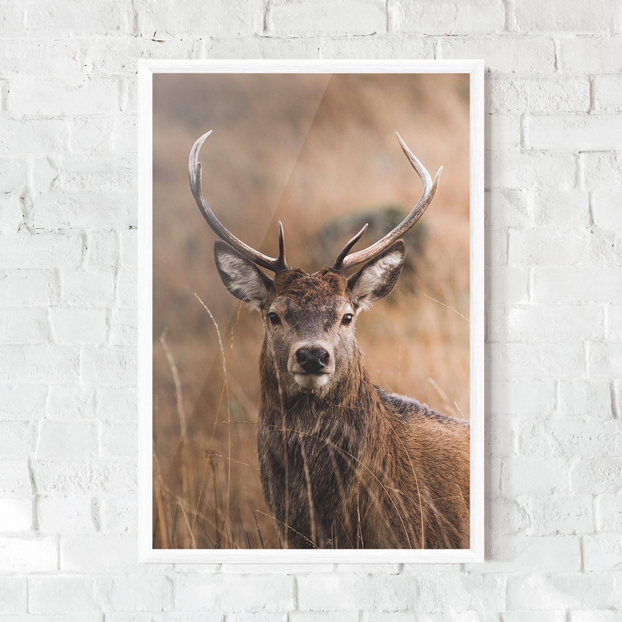 Plakat w Ramie Majestic Deer mockup 0