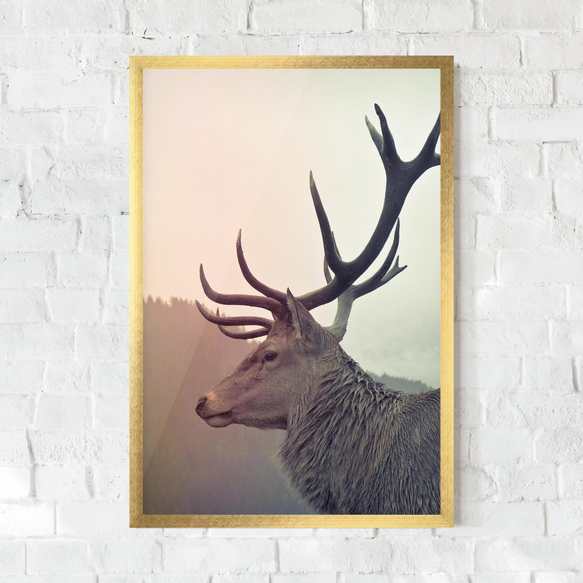 Plakat w Ramie King Of The Forest mockup 0