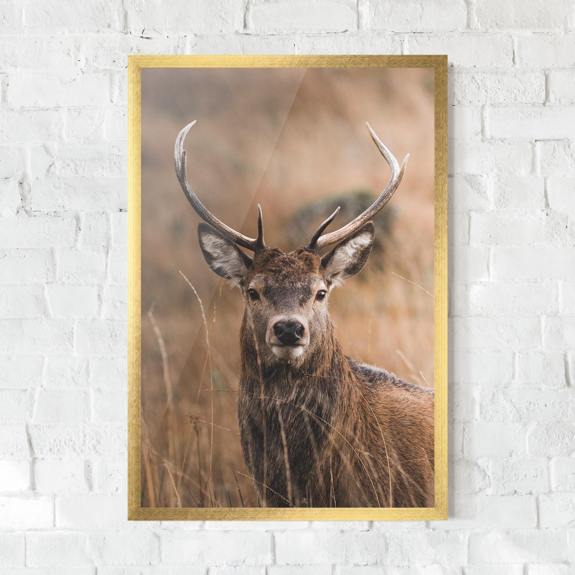 Plakat w Ramie Majestic Deer mockup 0
