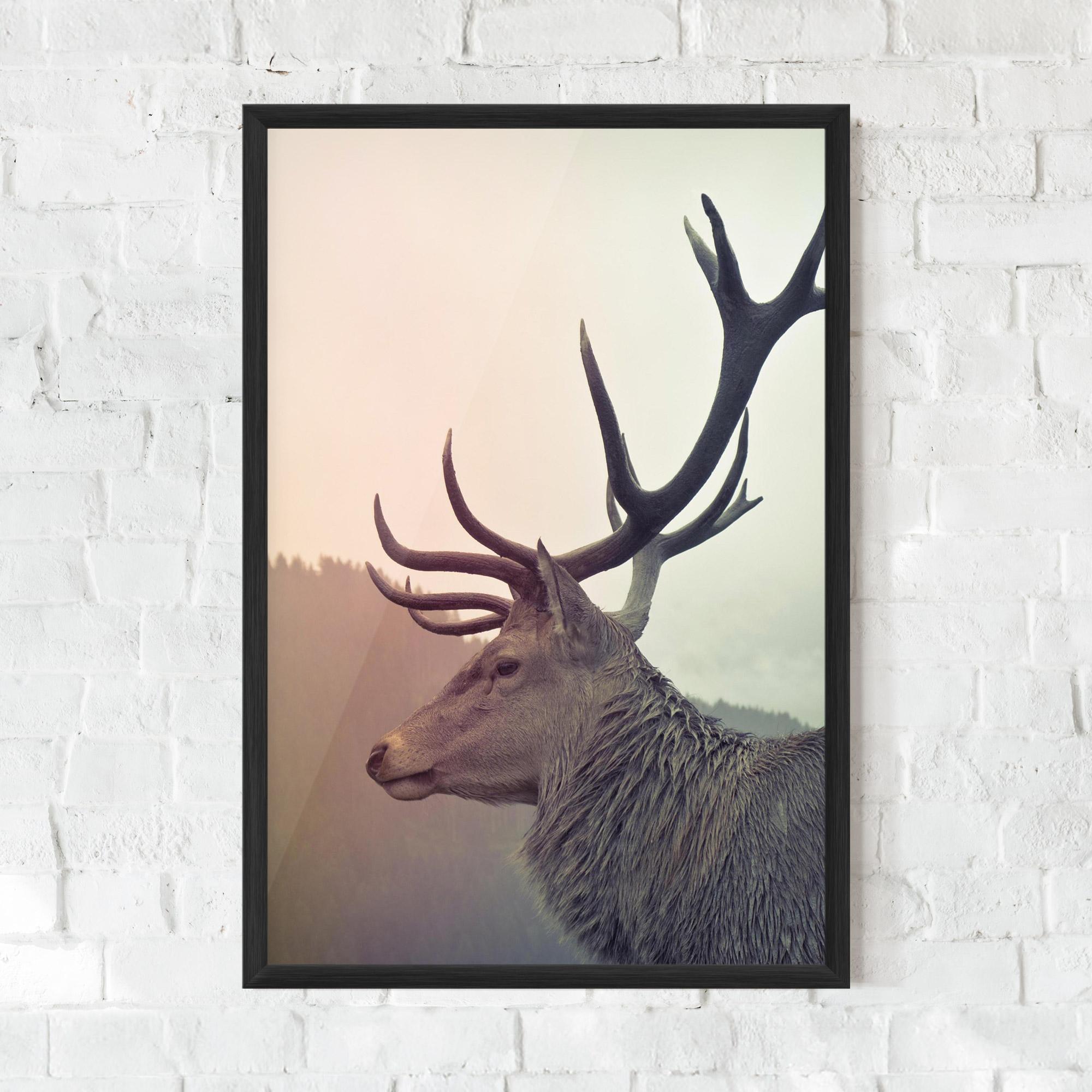 Plakat w Ramie King Of The Forest mockup 0
