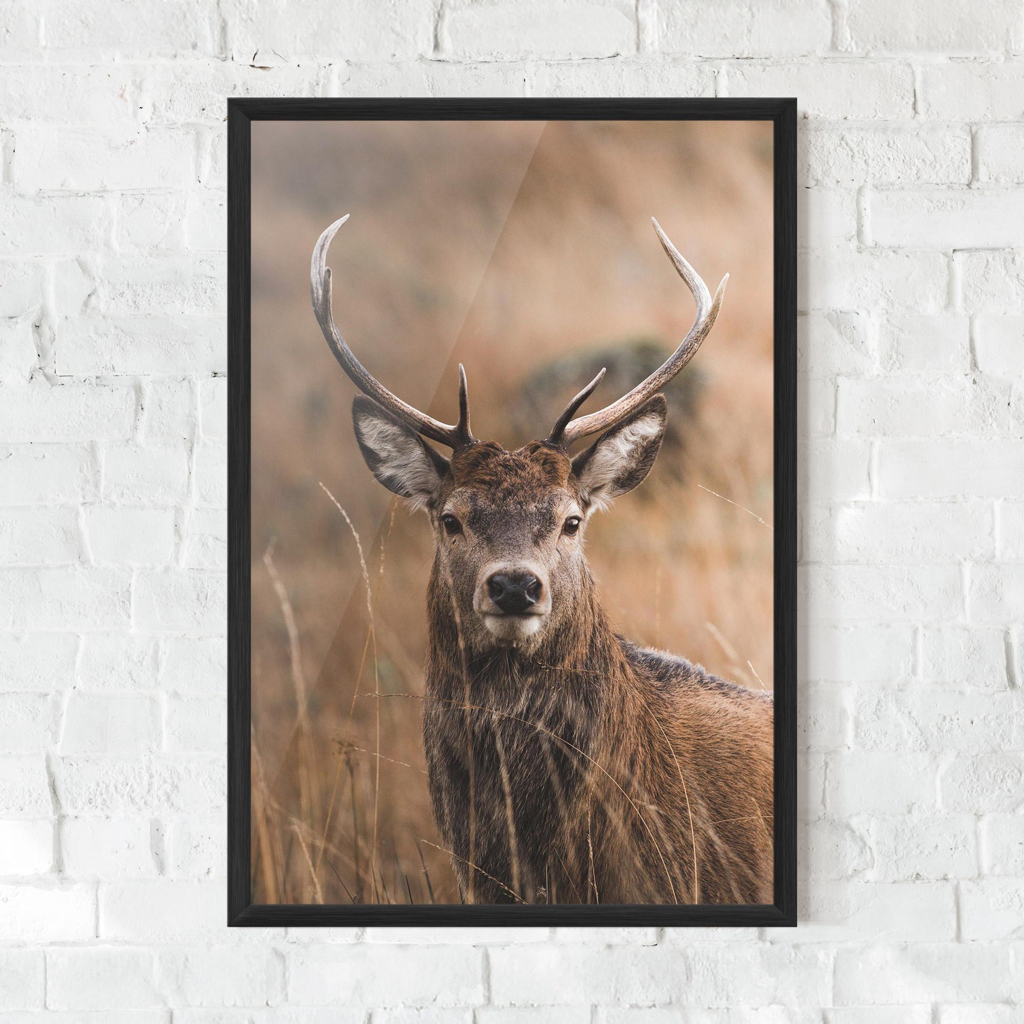 Plakat w Ramie Majestic Deer mockup 0