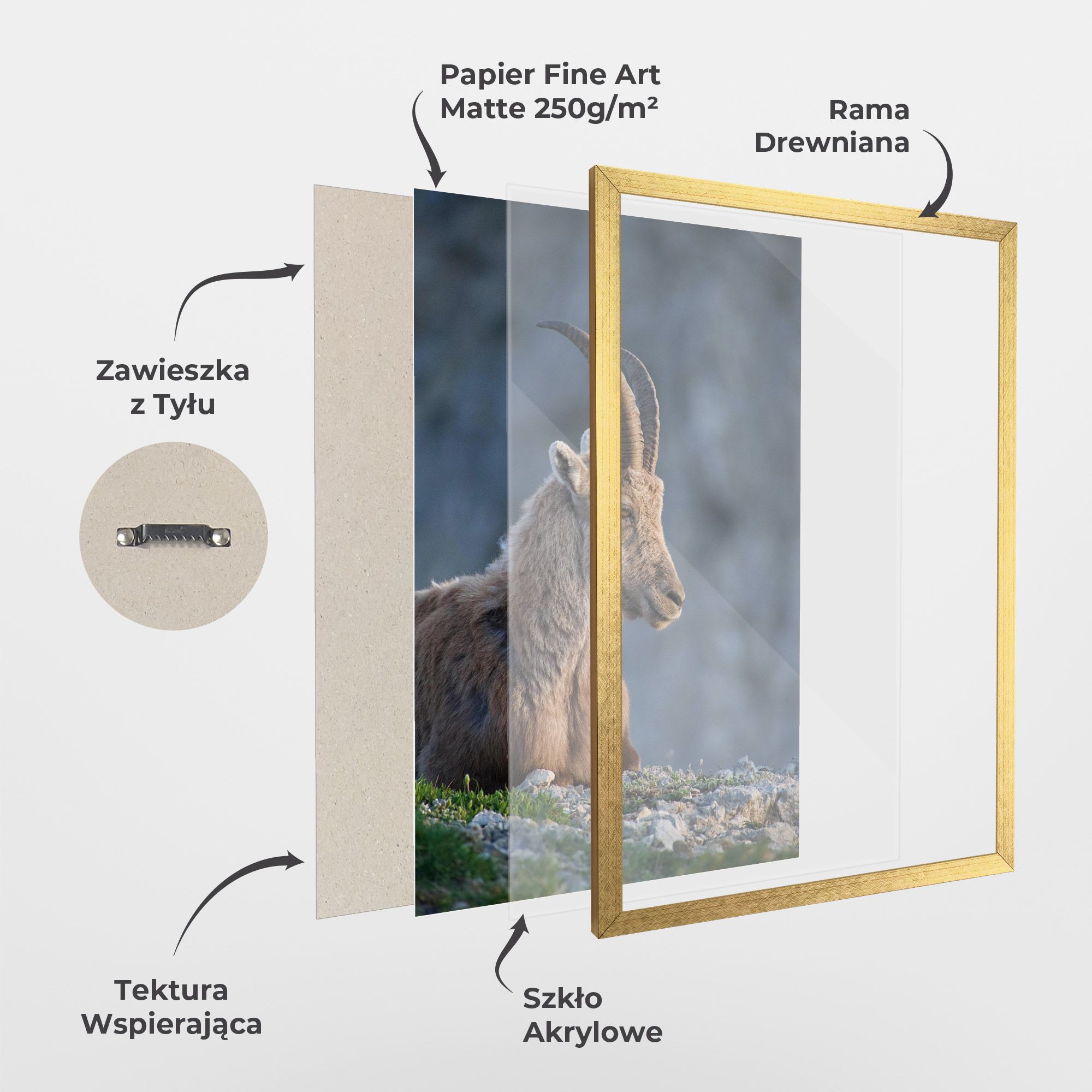 Mountain Goat mockup 1