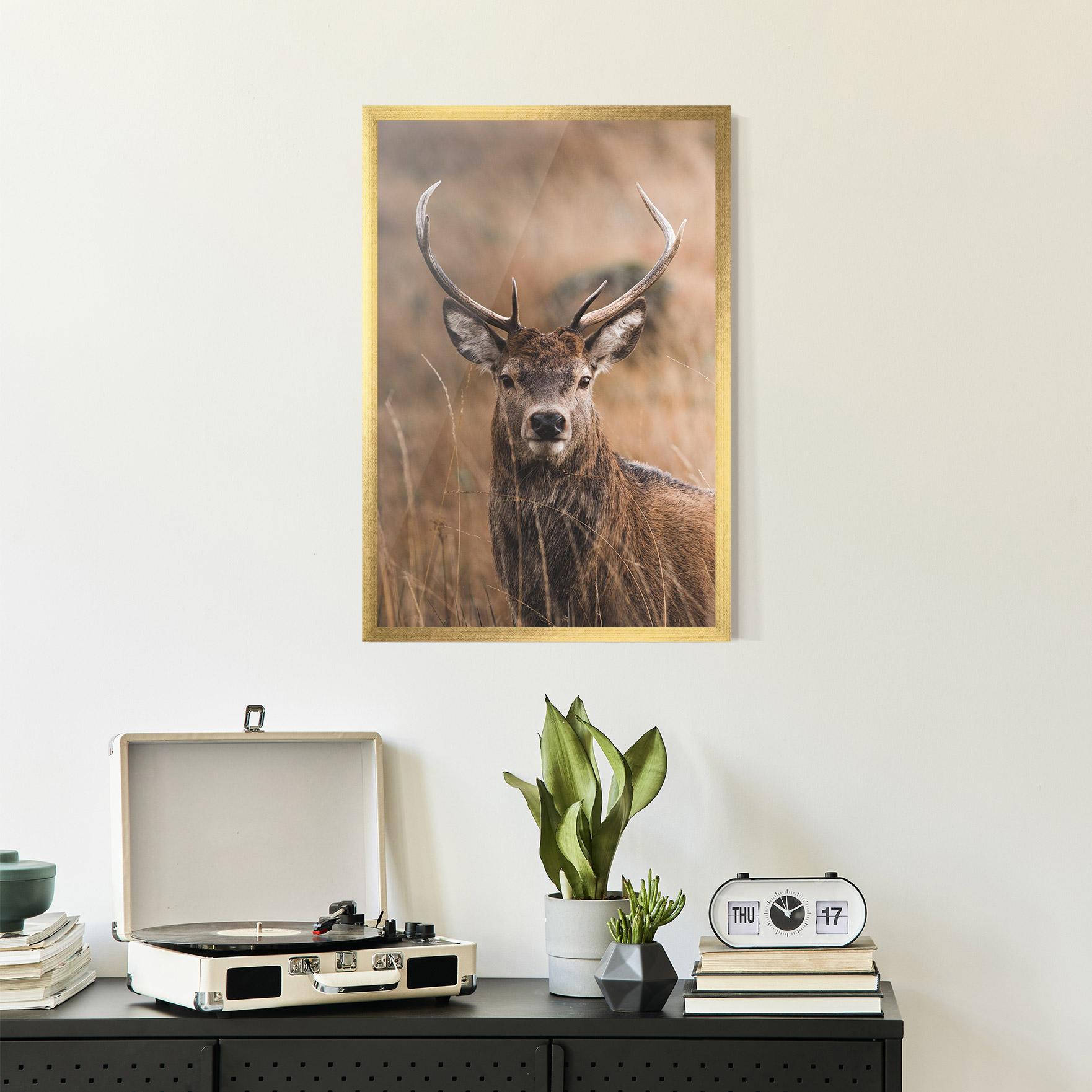 Plakat w Ramie Majestic Deer mockup 2