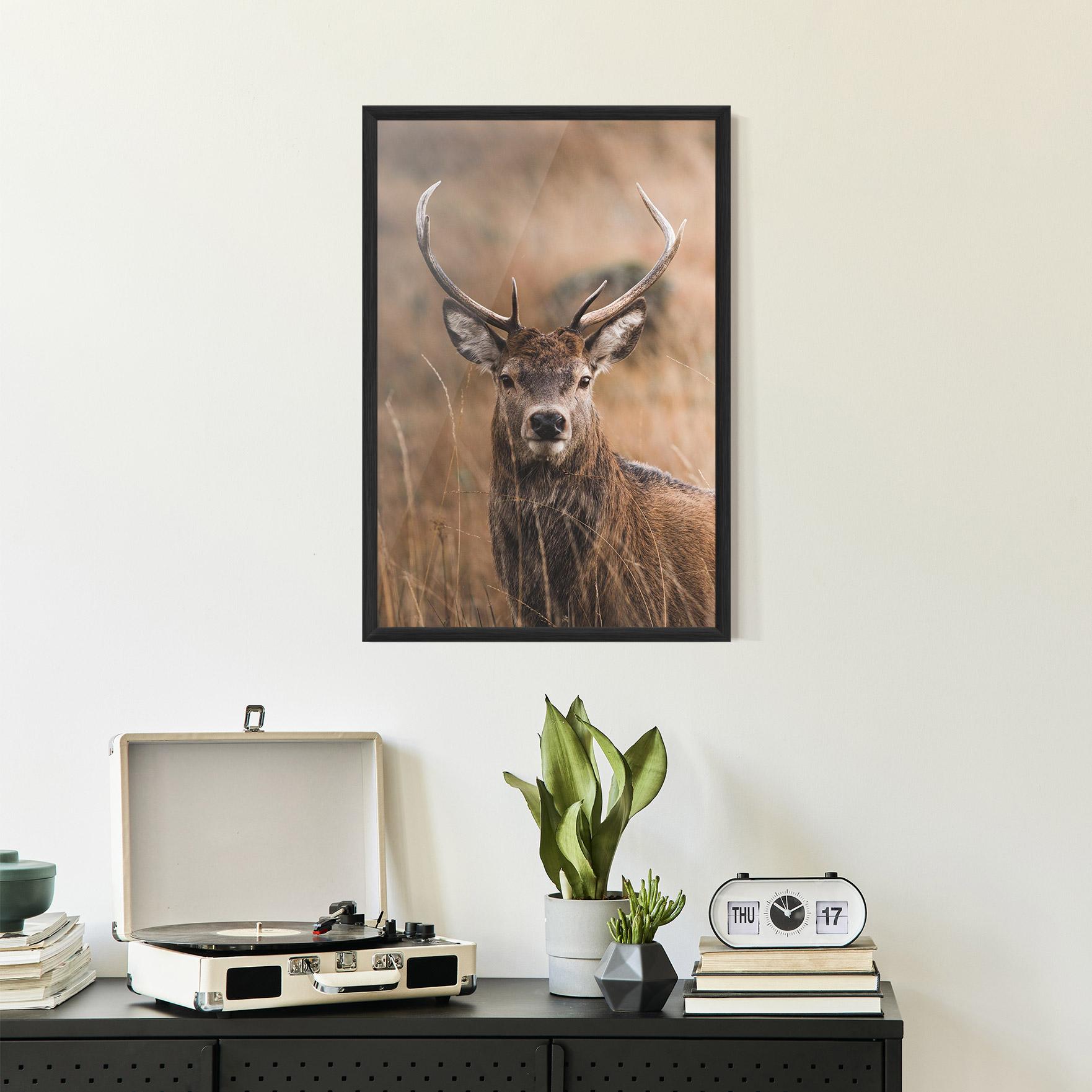 Plakat w Ramie Majestic Deer mockup 2