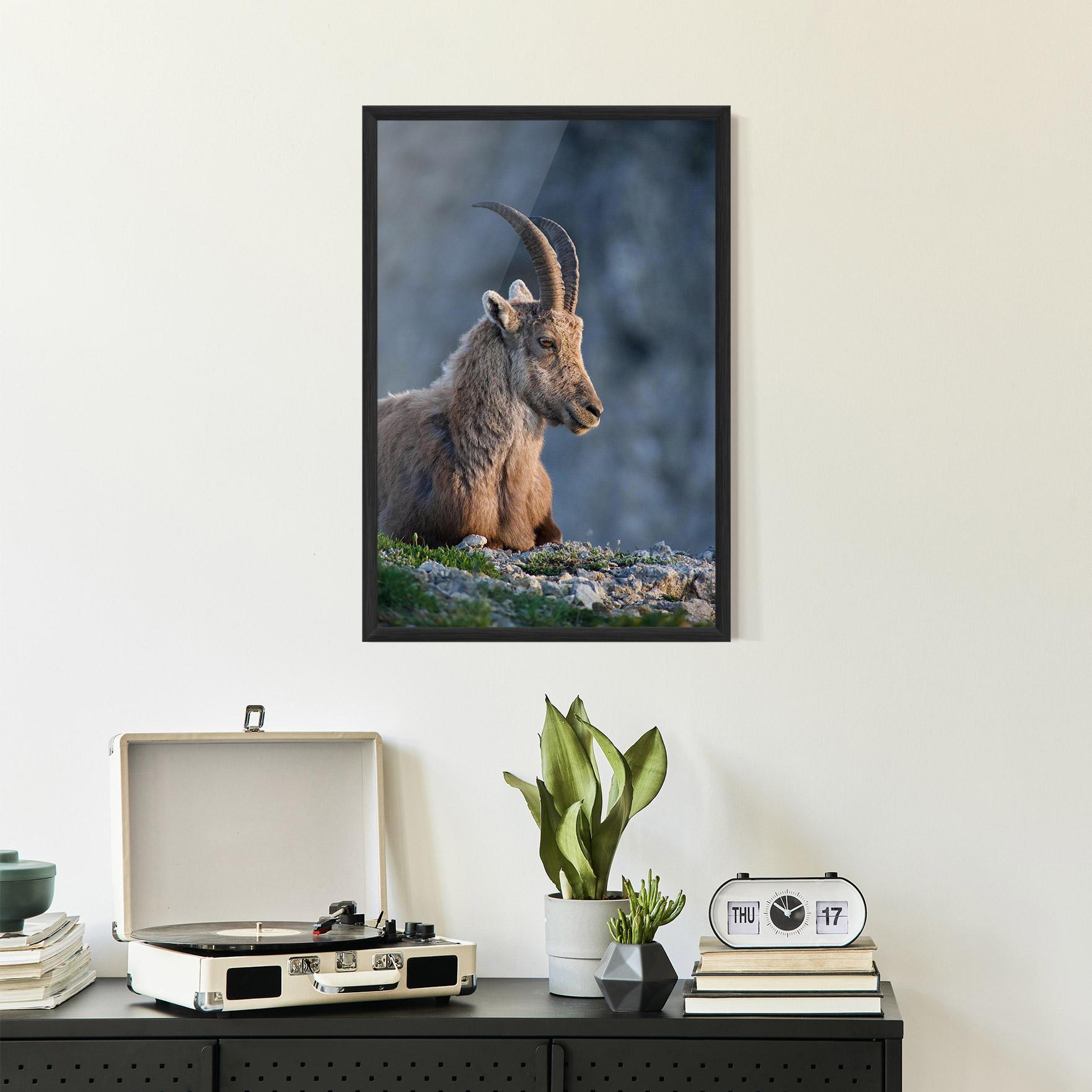Plakat w Ramie Mountain Goat mockup 2