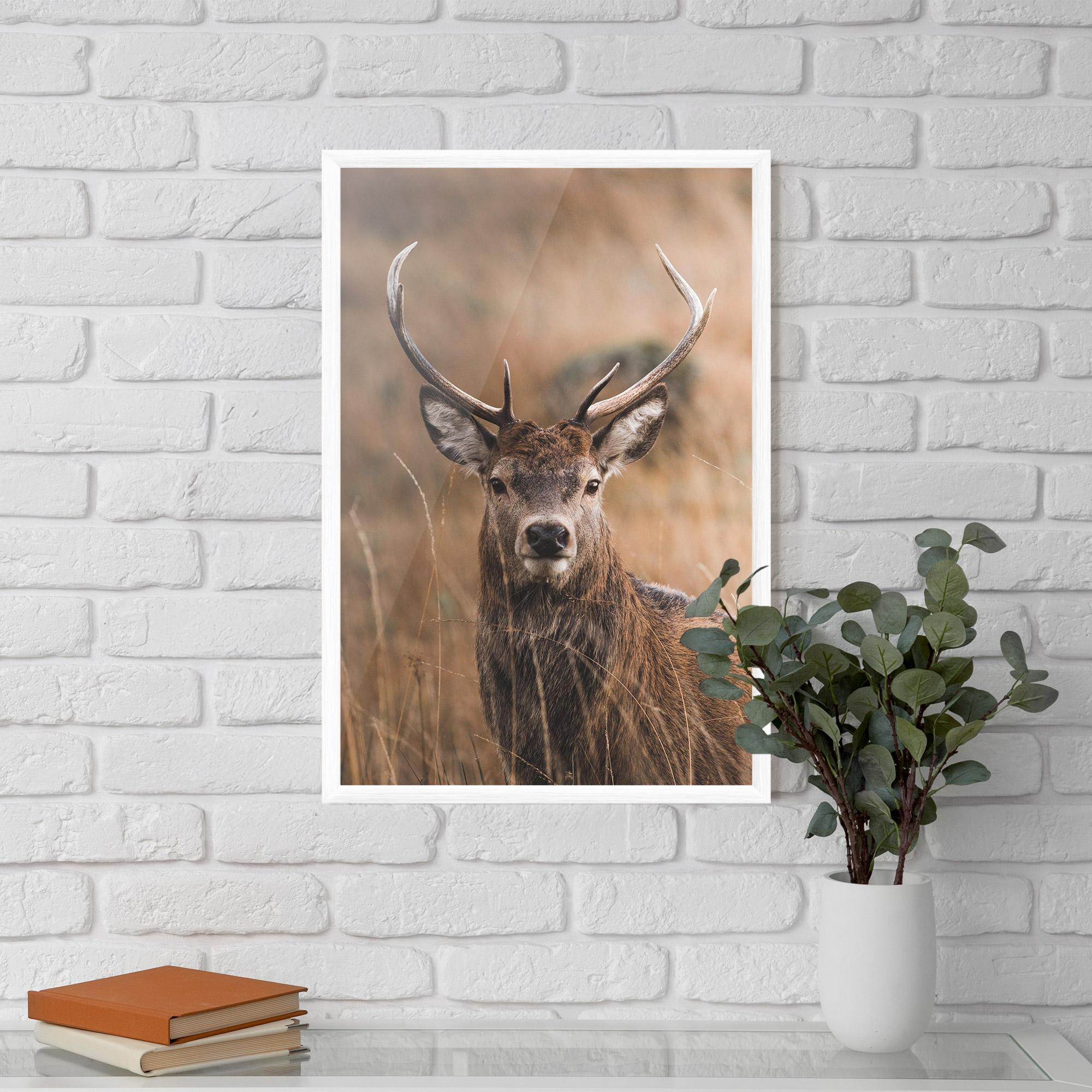 Plakat w Ramie Majestic Deer mockup 5