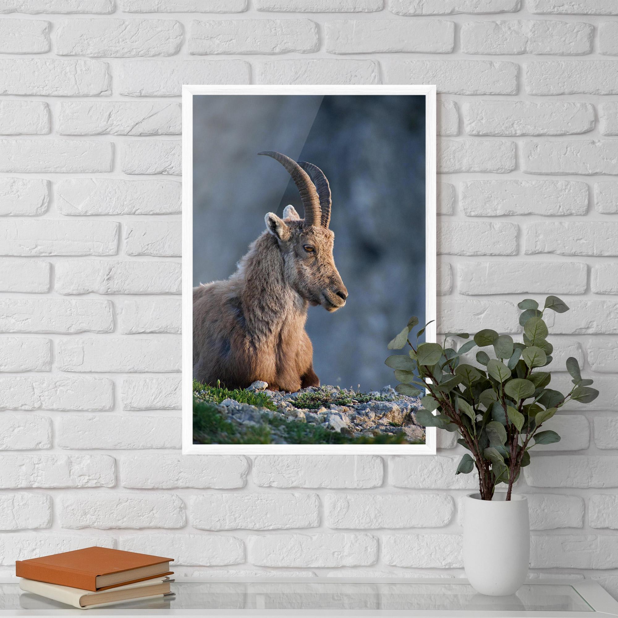 Plakat w Ramie Mountain Goat mockup 5