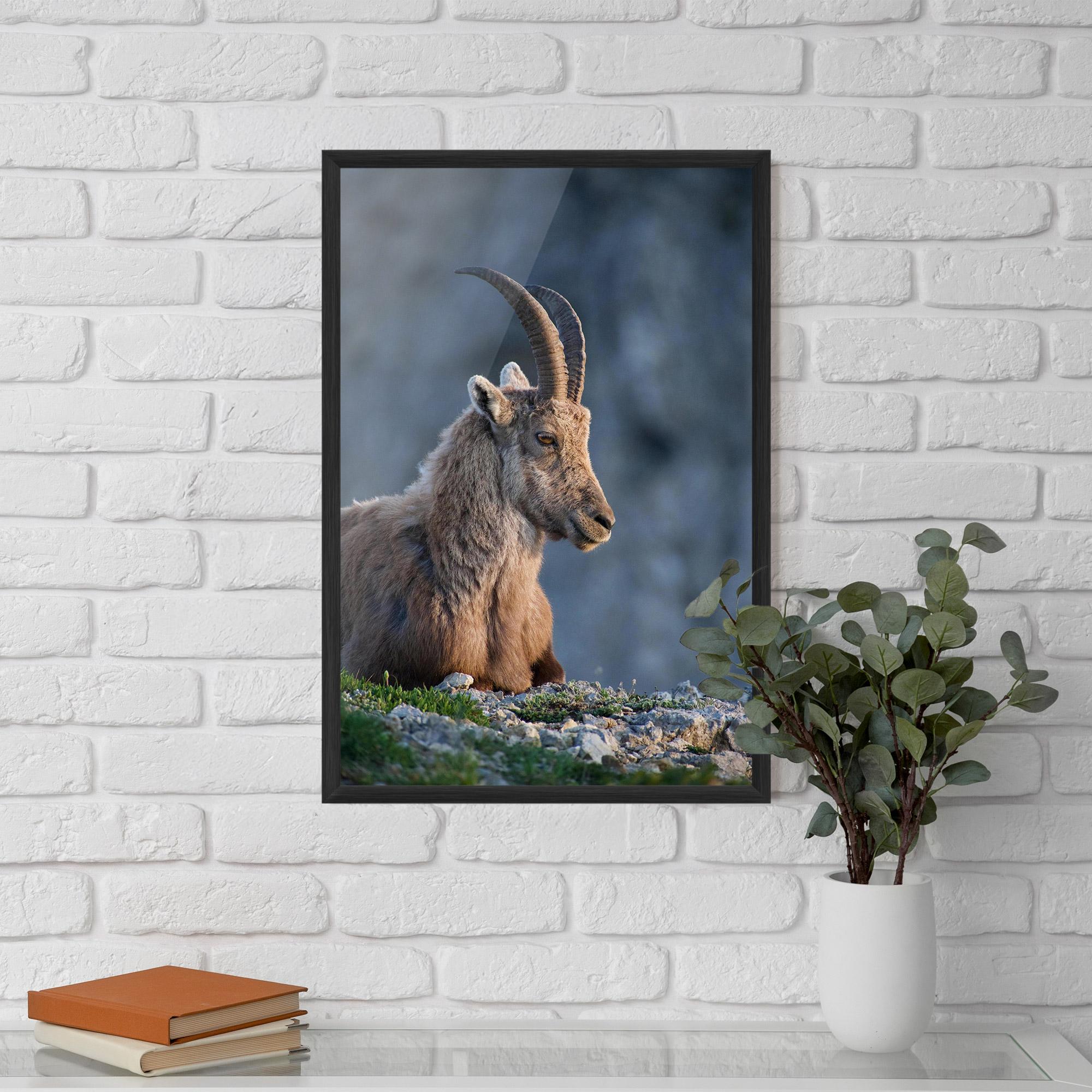 Plakat w Ramie Mountain Goat mockup 5