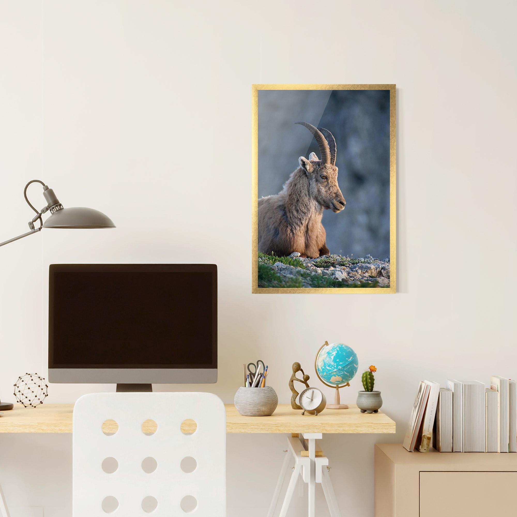 Plakat w Ramie Mountain Goat mockup 6
