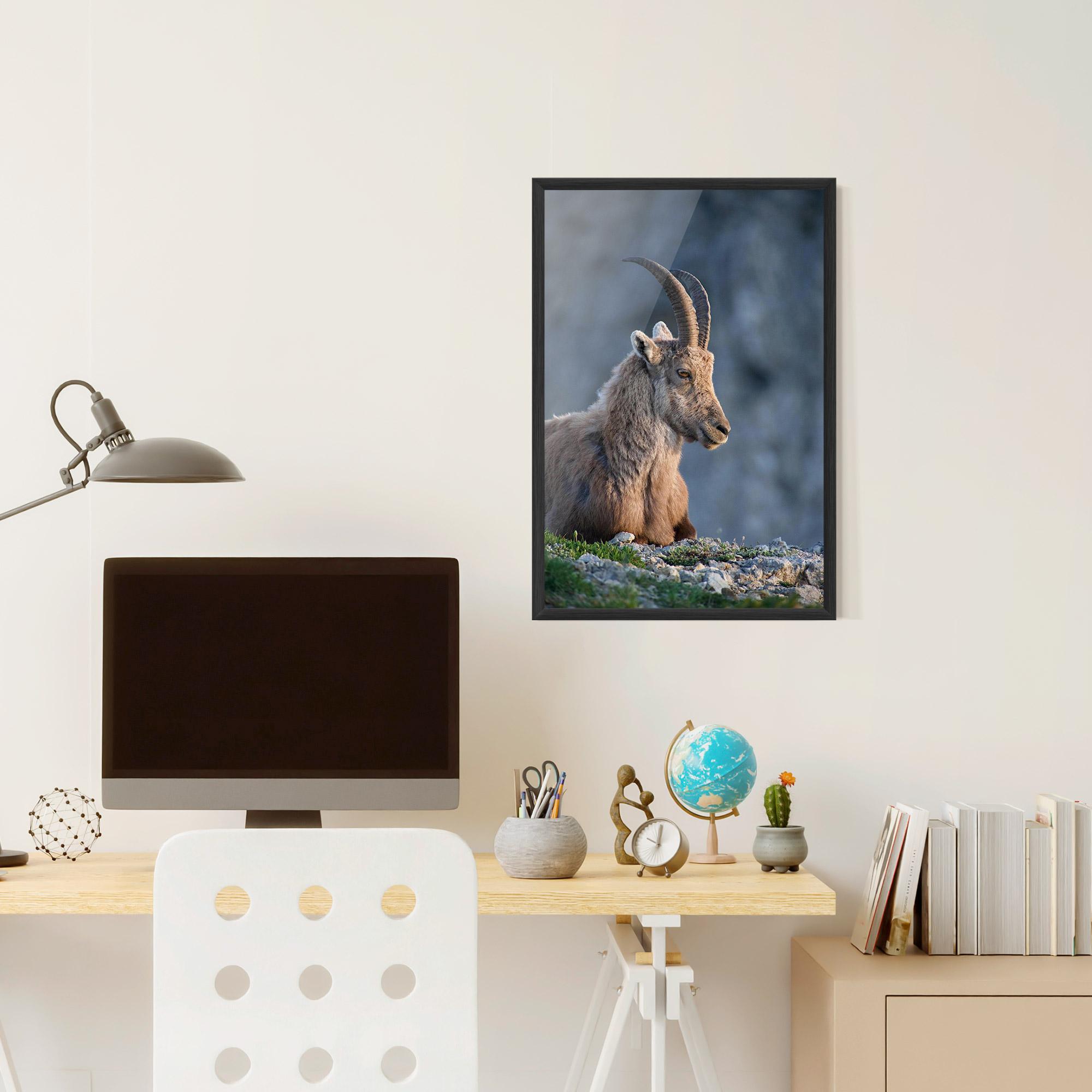 Plakat w Ramie Mountain Goat mockup 6