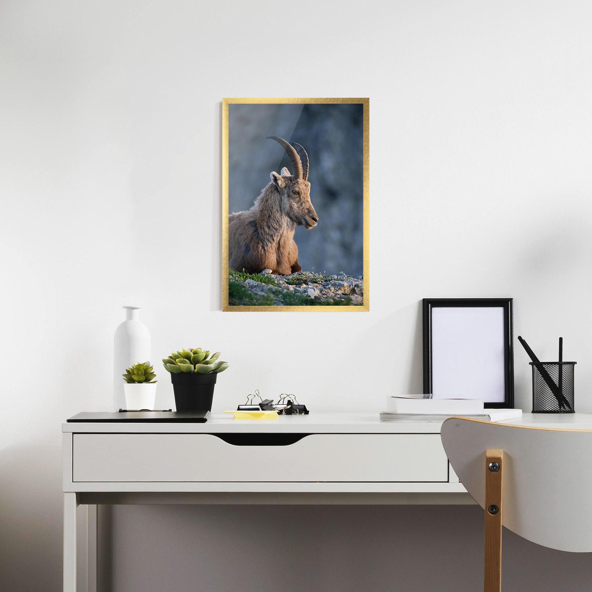 Plakat w Ramie Mountain Goat mockup 7