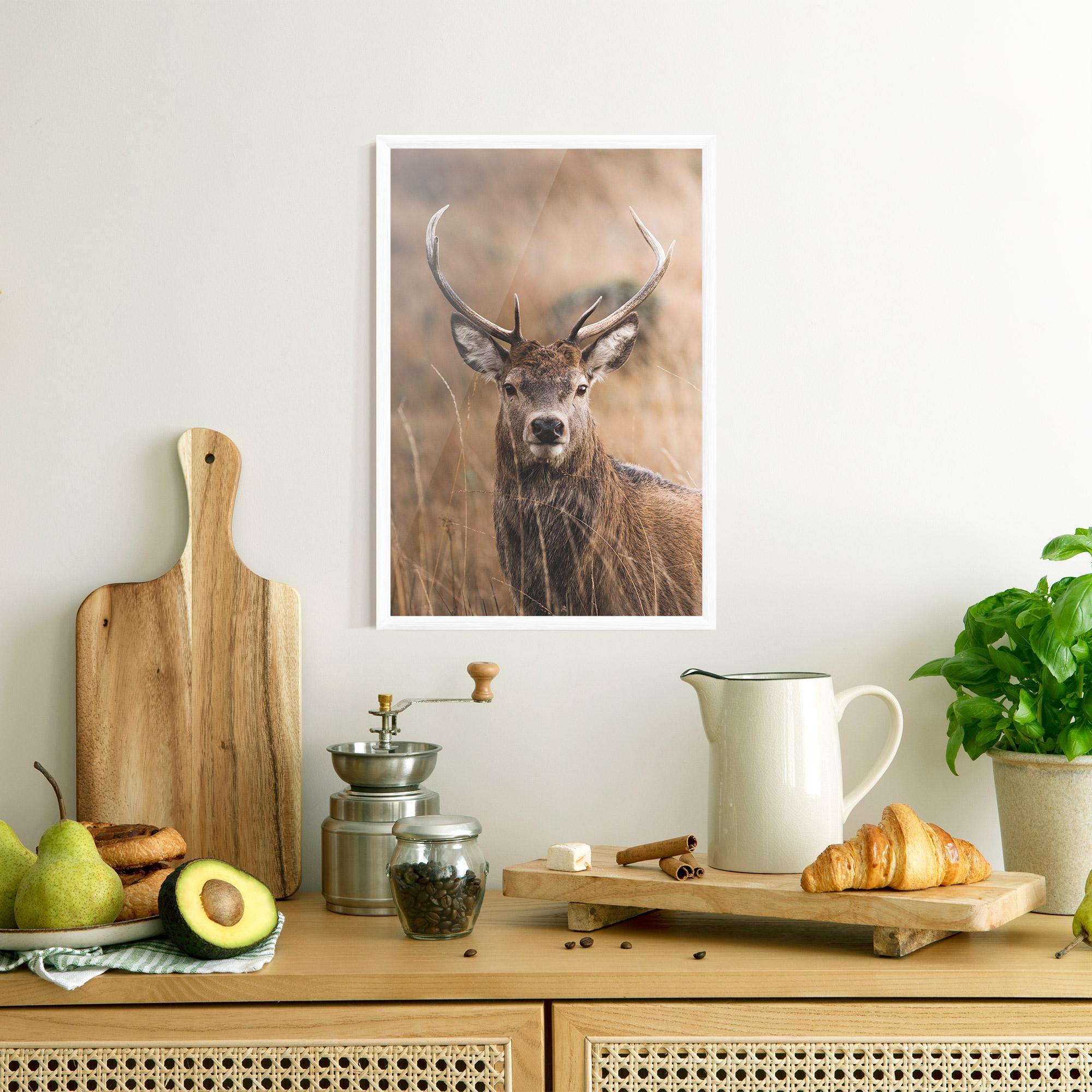 Plakat w Ramie Majestic Deer mockup 8