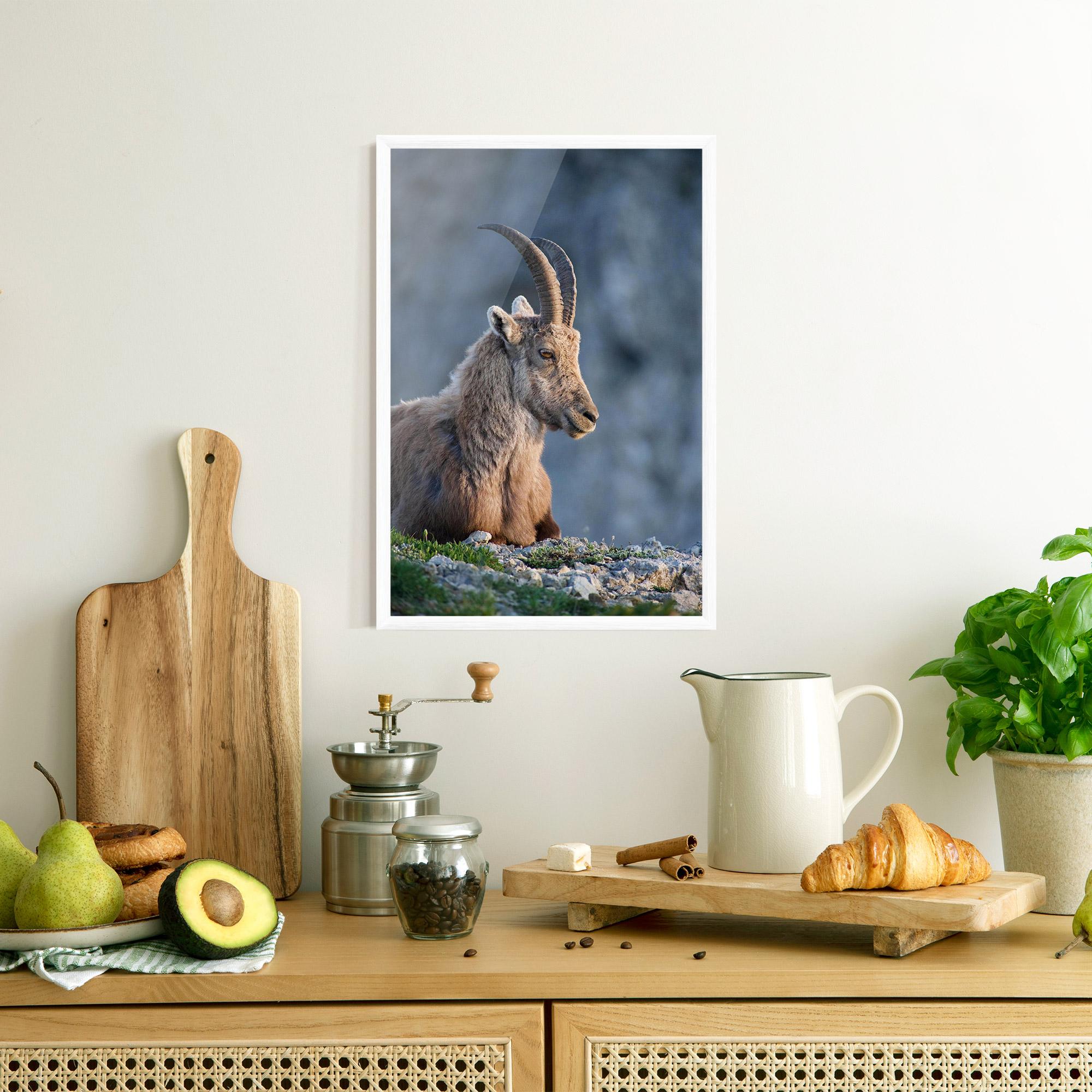 Plakat w Ramie Mountain Goat mockup 8