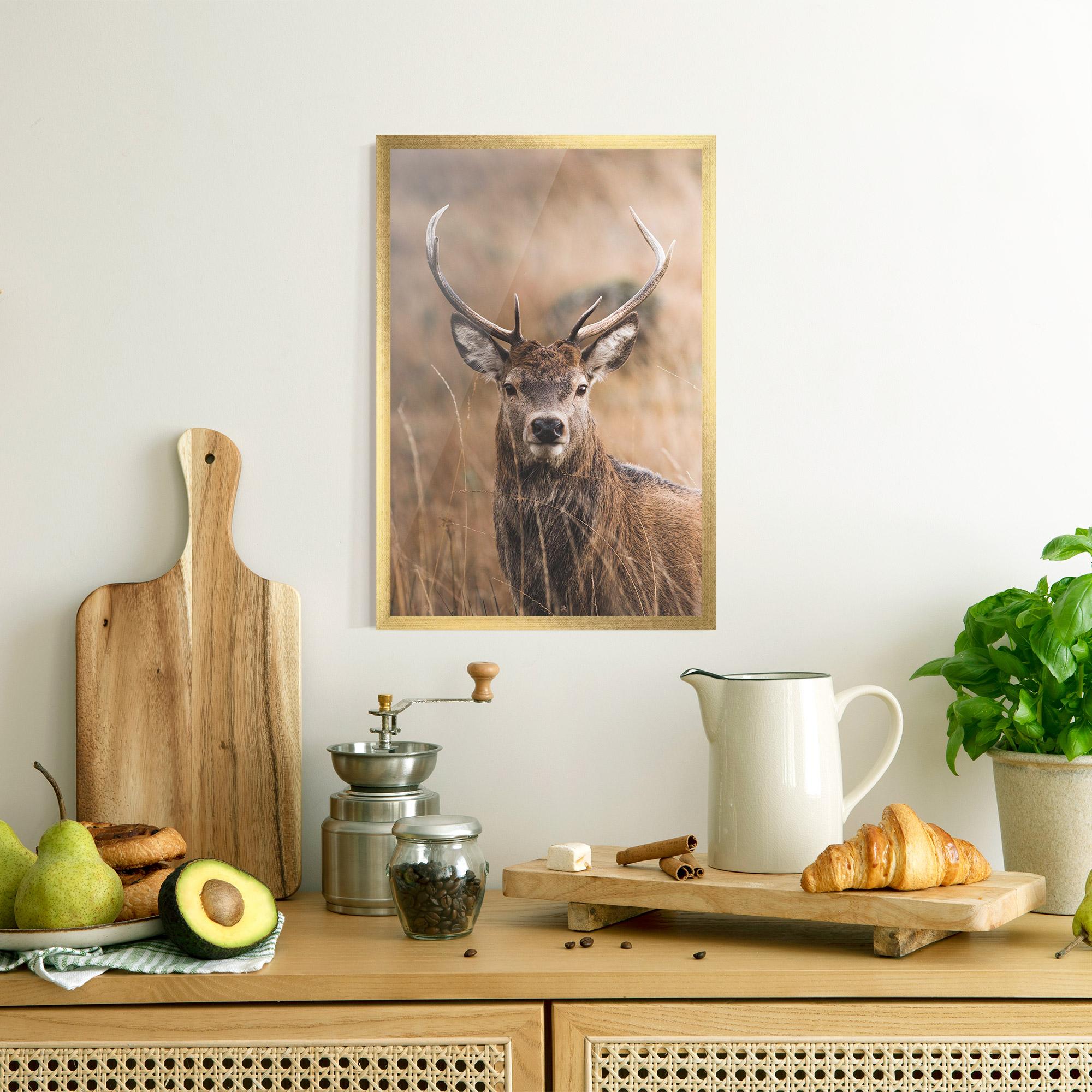 Plakat w Ramie Majestic Deer mockup 8